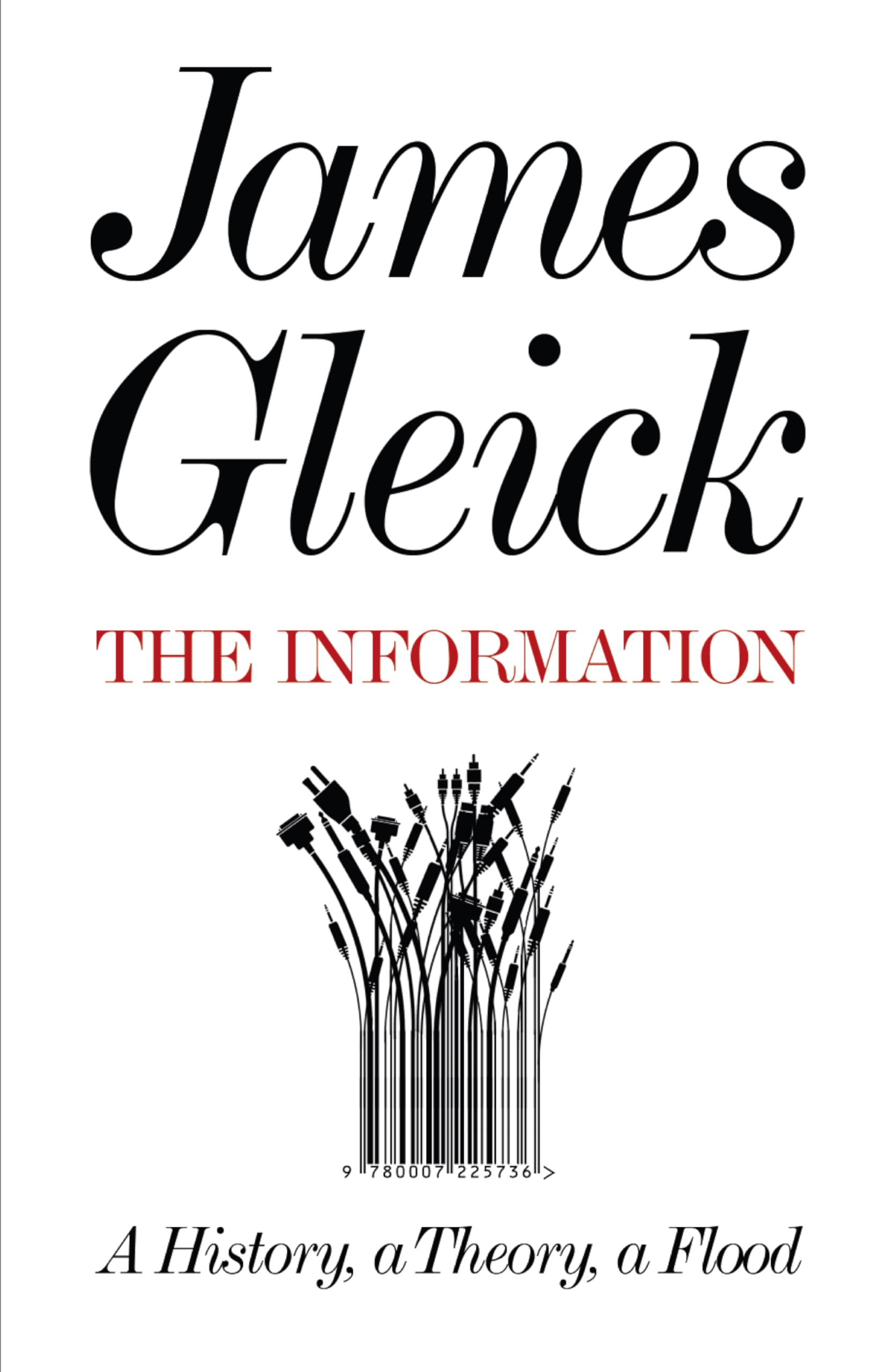 The Information: A History, a Theory, a Flood book