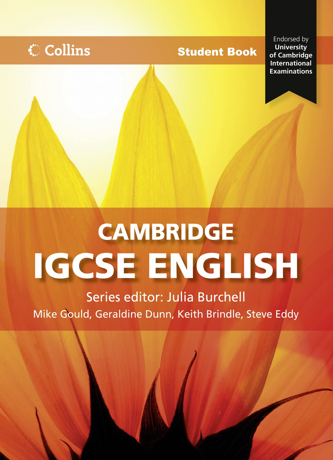 Cambridge IGCSE™ English Student's Book (Collins Cambridge IGCSE™) Business, Finance & Career