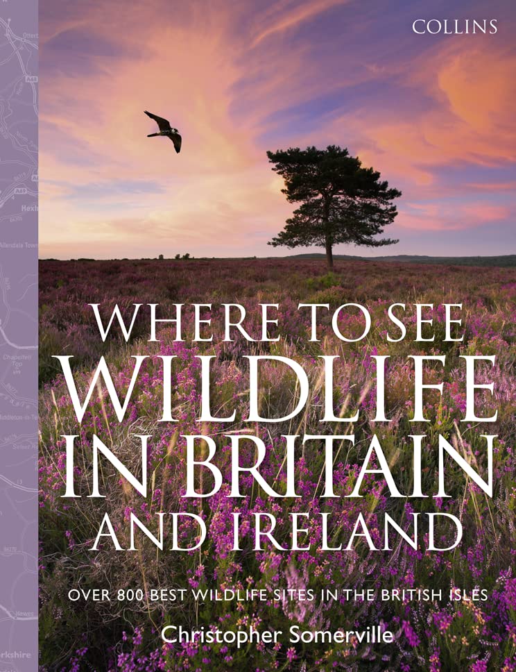 Collins Where to See Wildlife in Britain and Ireland: Over 800 Best Wildlife Sites in the British Isles Mathematics