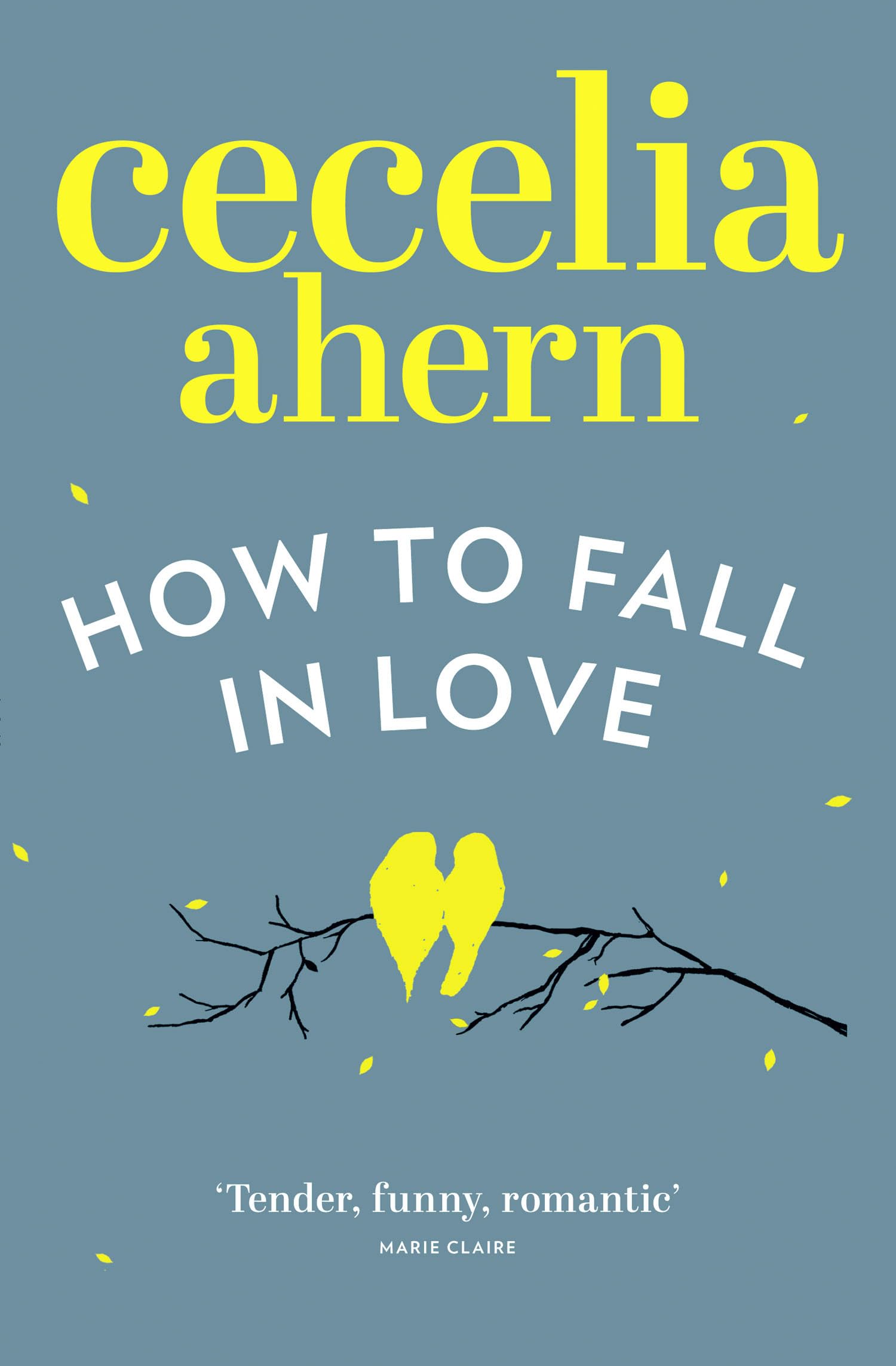 How to Fall in Love Contemporary literature Books