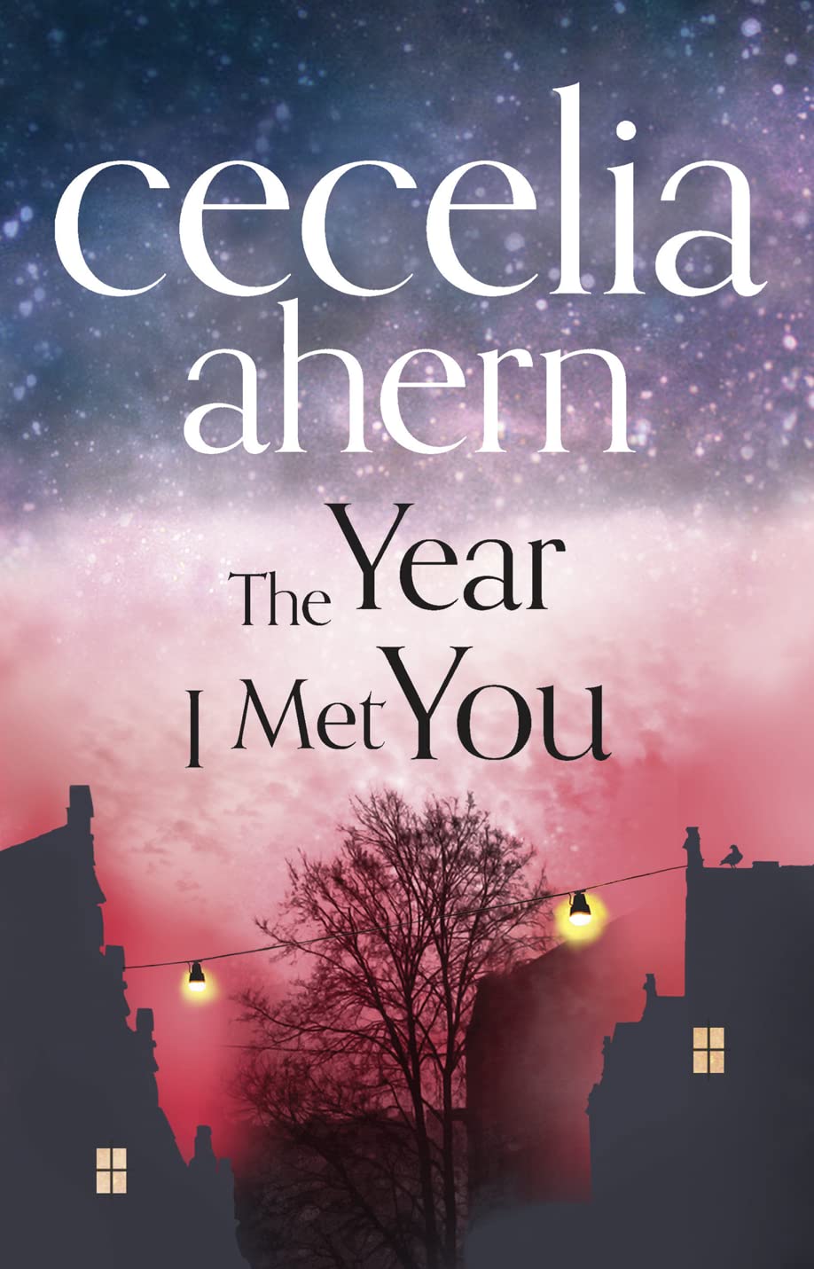 The Year I Met You Contemporary literature Books