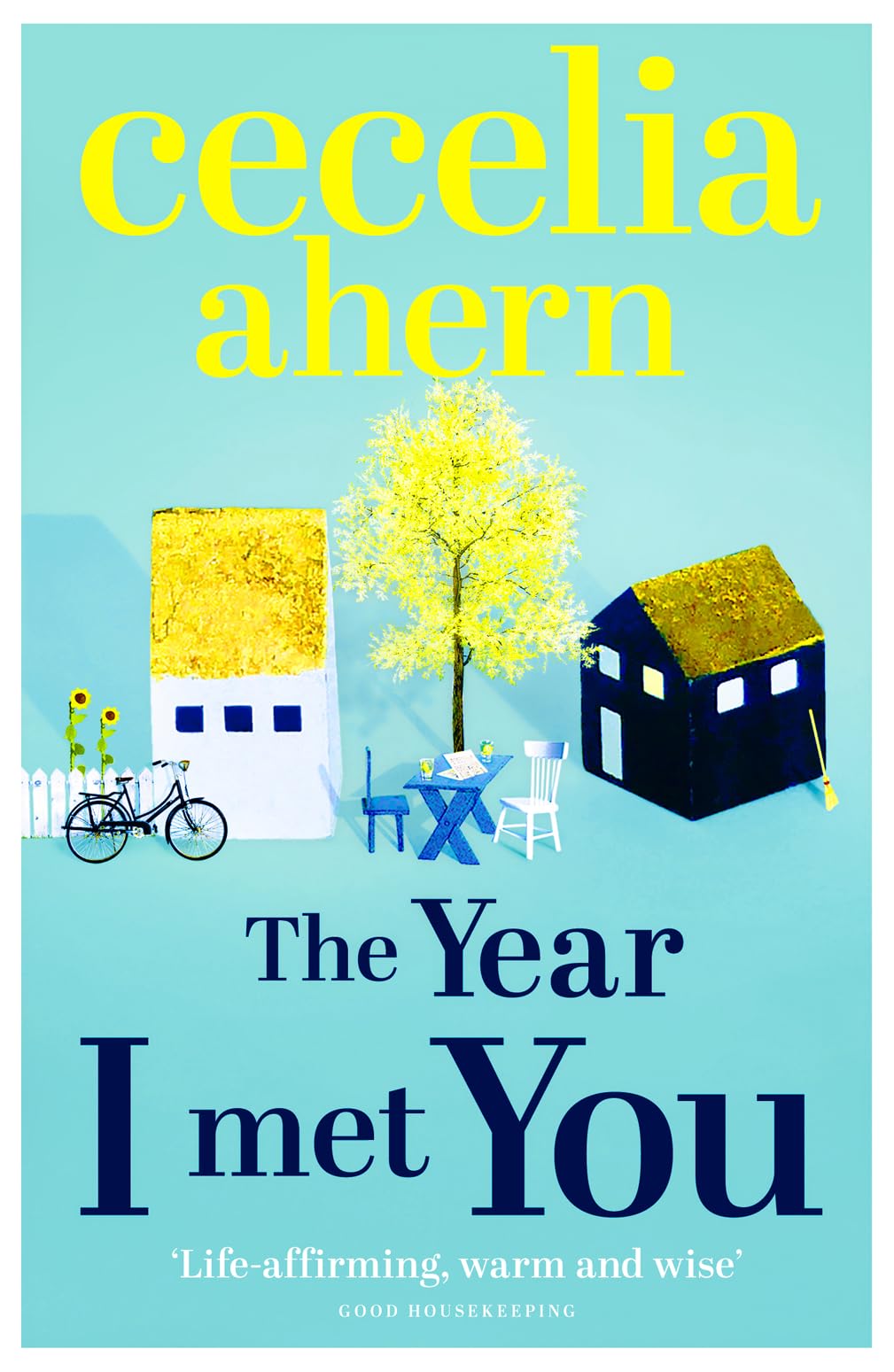 Product Image: The Year I Met You