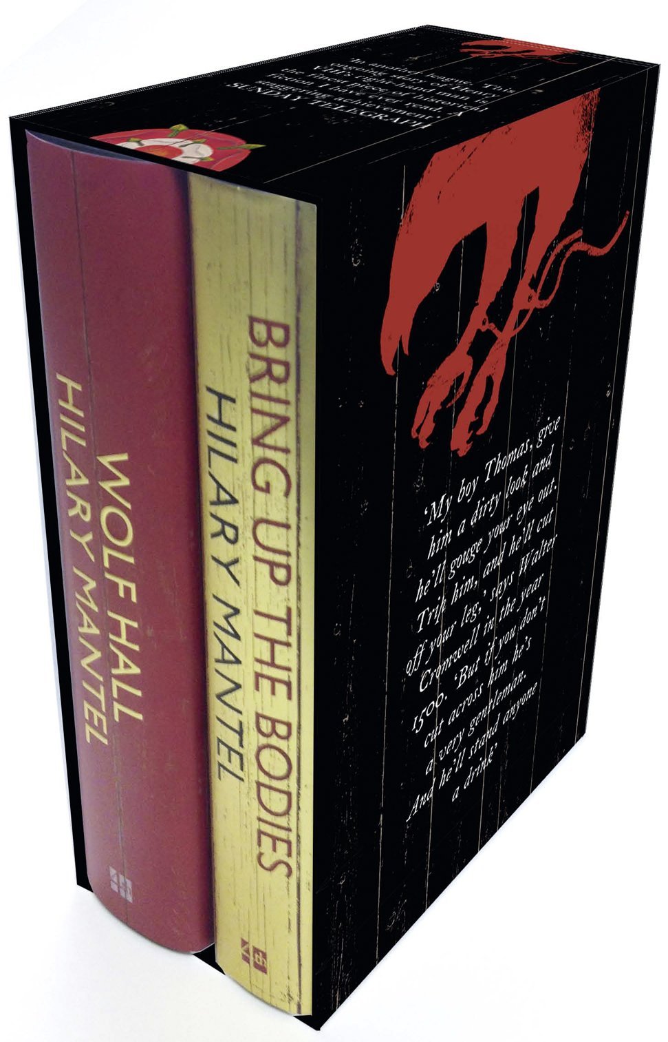 Wolf Hall and Bring Up the Bodies book