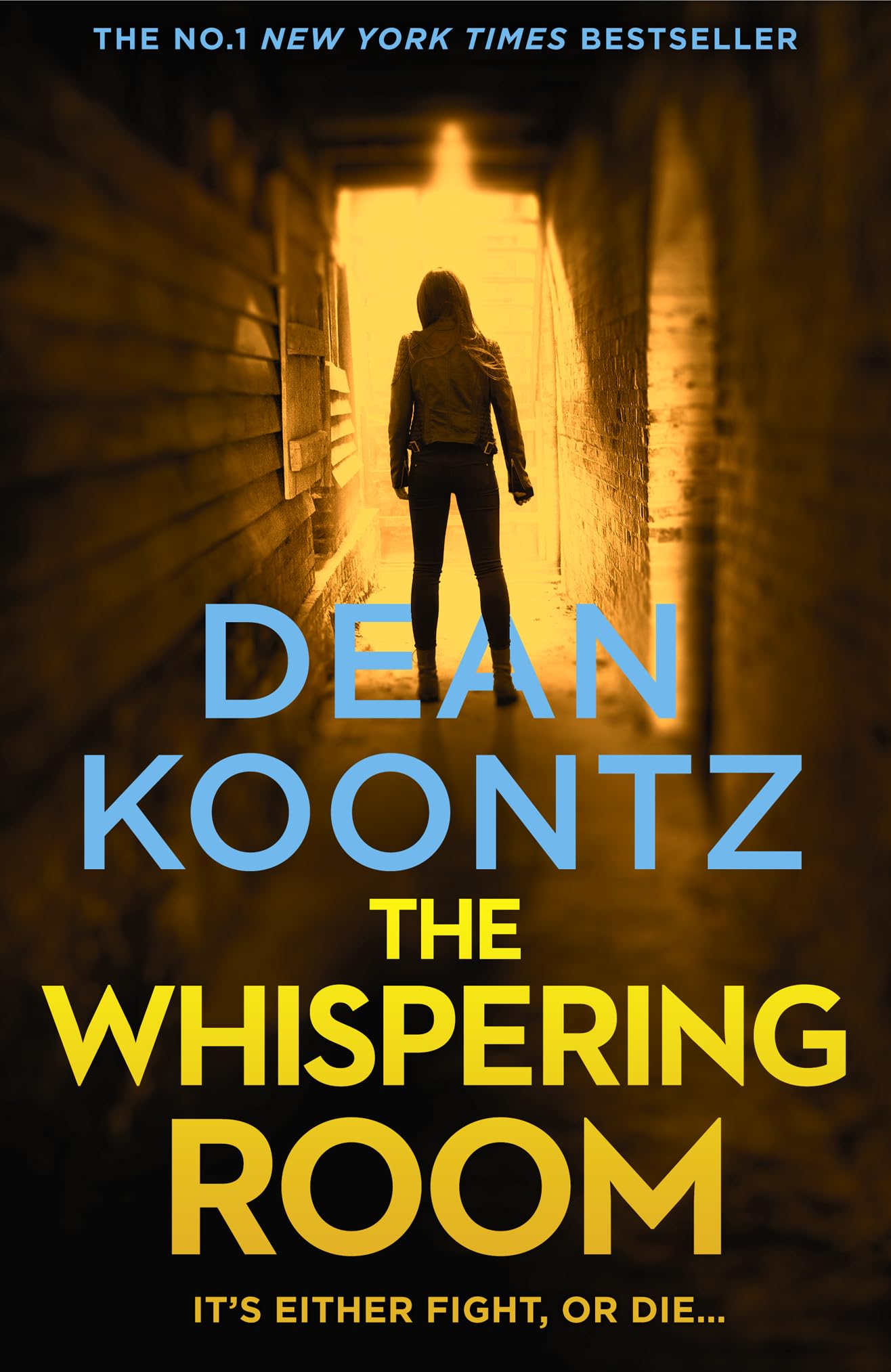 The Whispering Room (Jane Hawk Thriller, Band 2) Action & Adventure