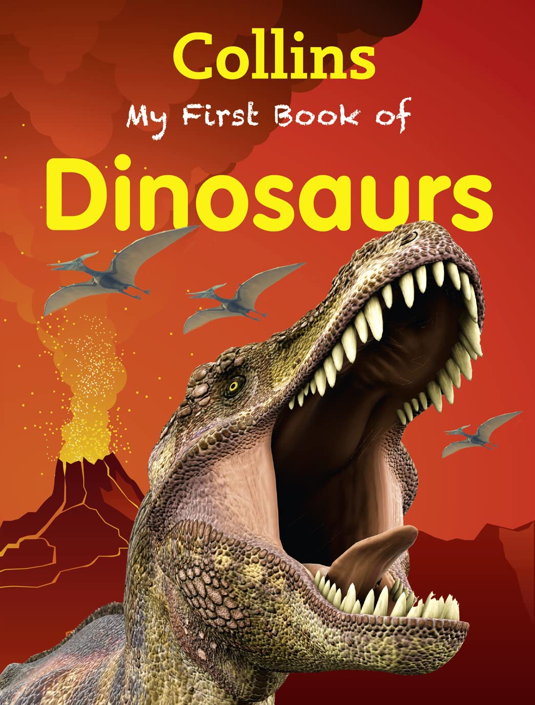My First Book of Dinosaurs Natural Sciences Books