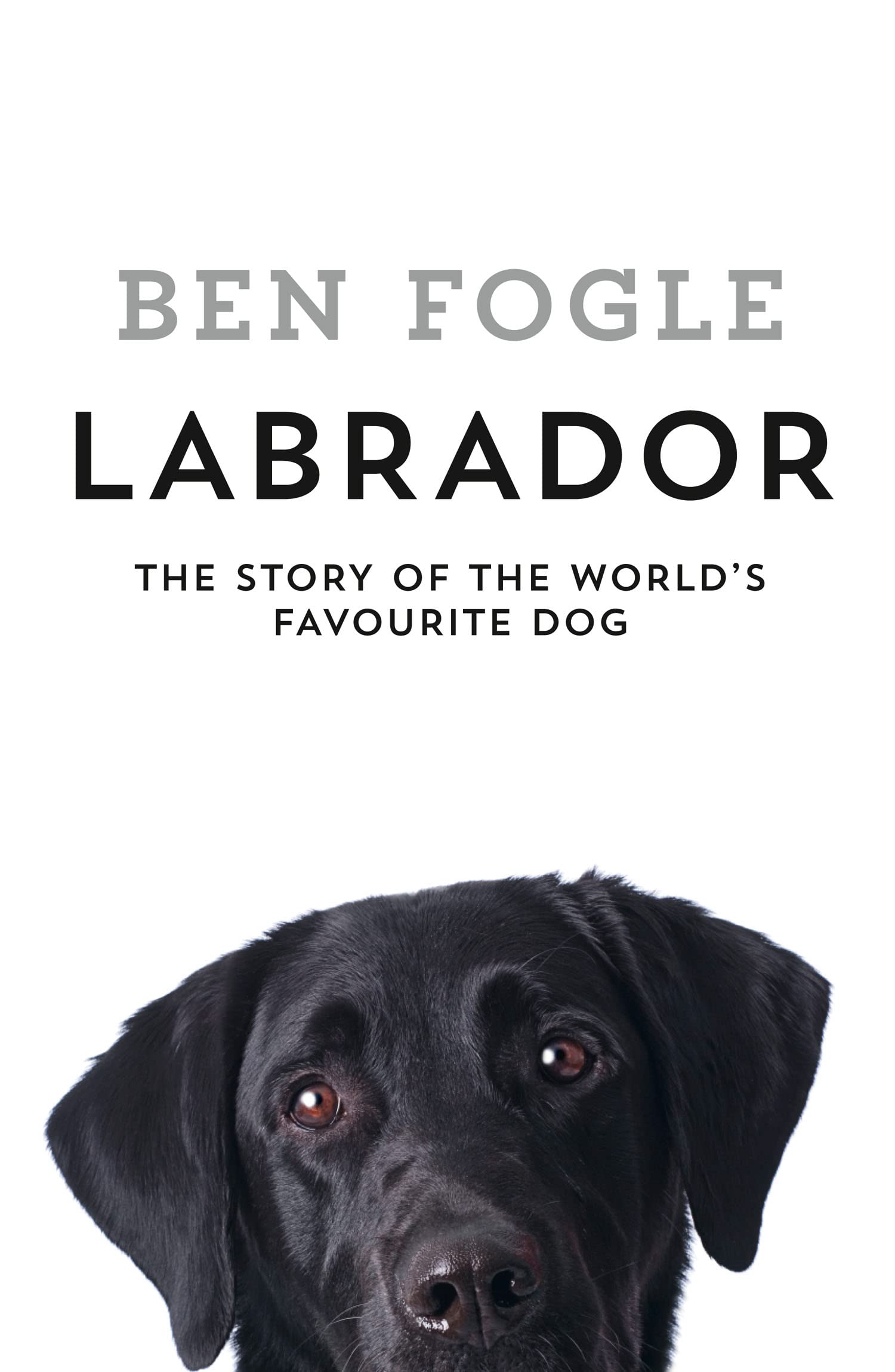 Labrador: The Story of the World’s Favourite Dog Art & Literature