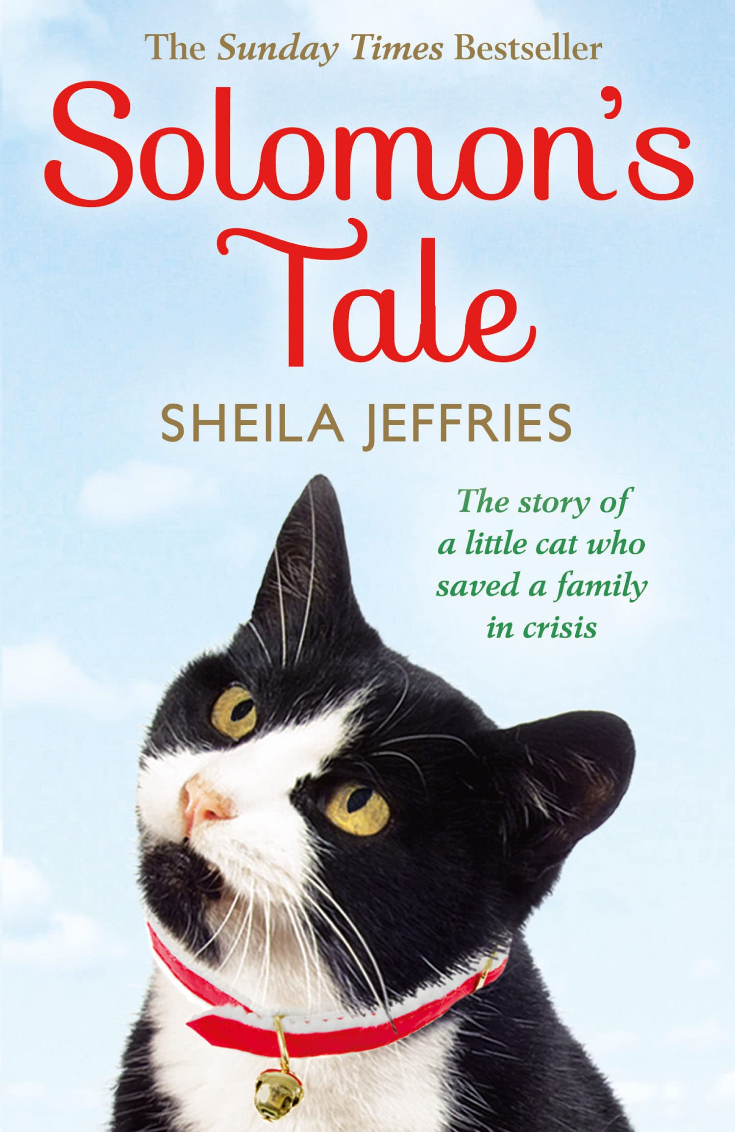 SOLOMON’S TALE Contemporary literature Books