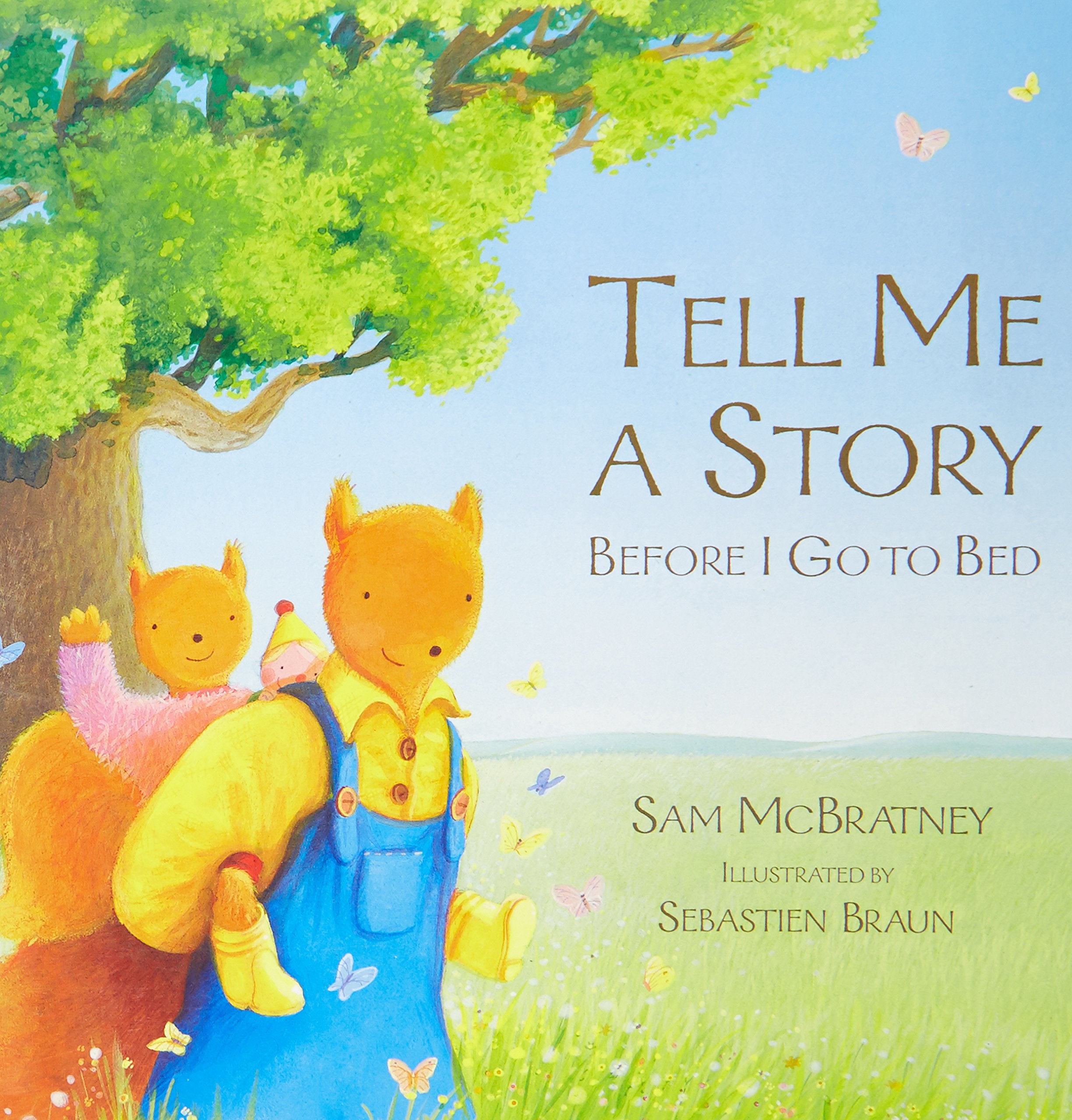 Tell Me a Story Before I Go to Bed book