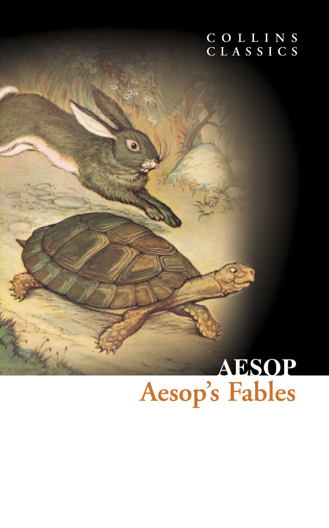 Product Image: Aesop's Fables