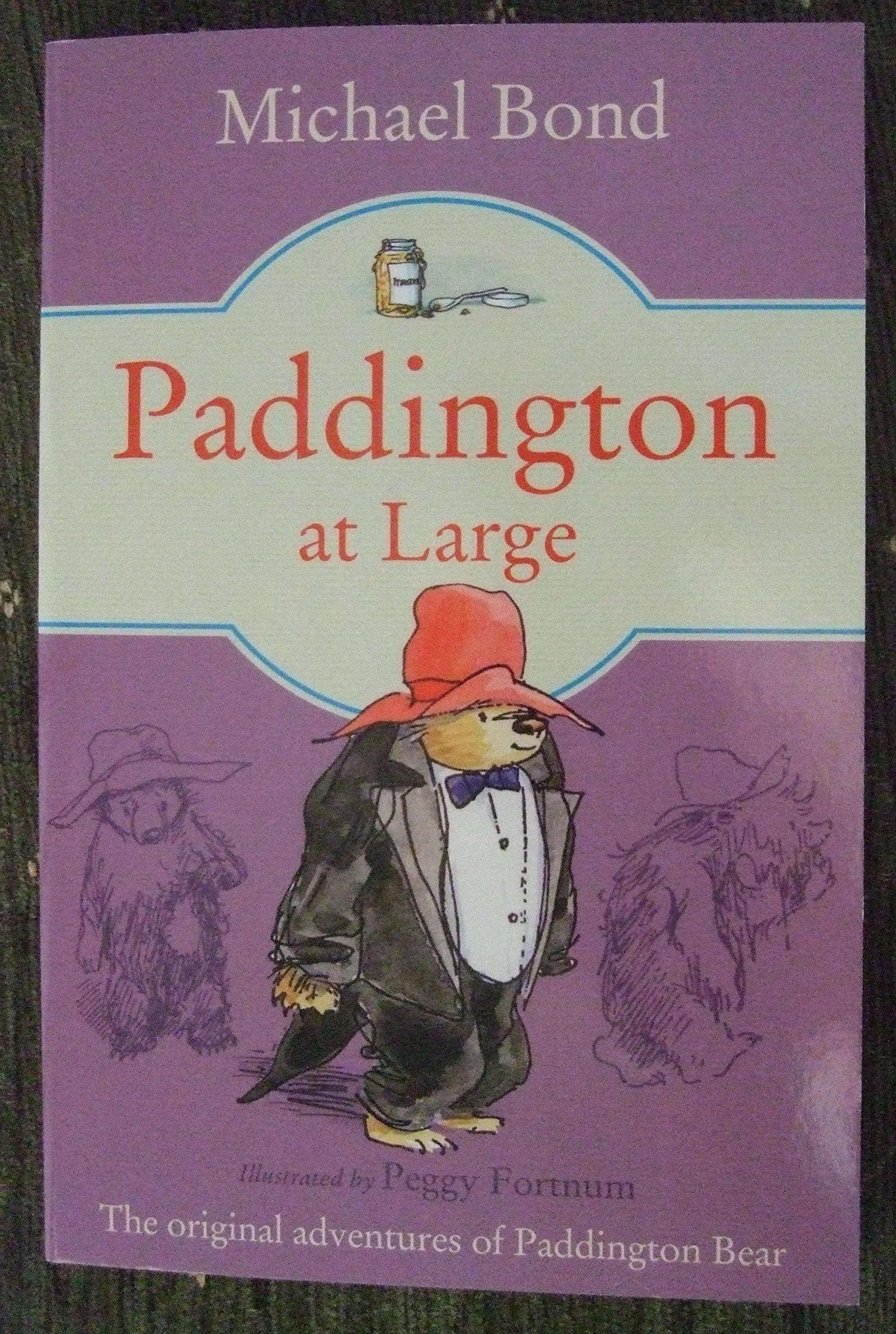 Product Image: Paddington at Large