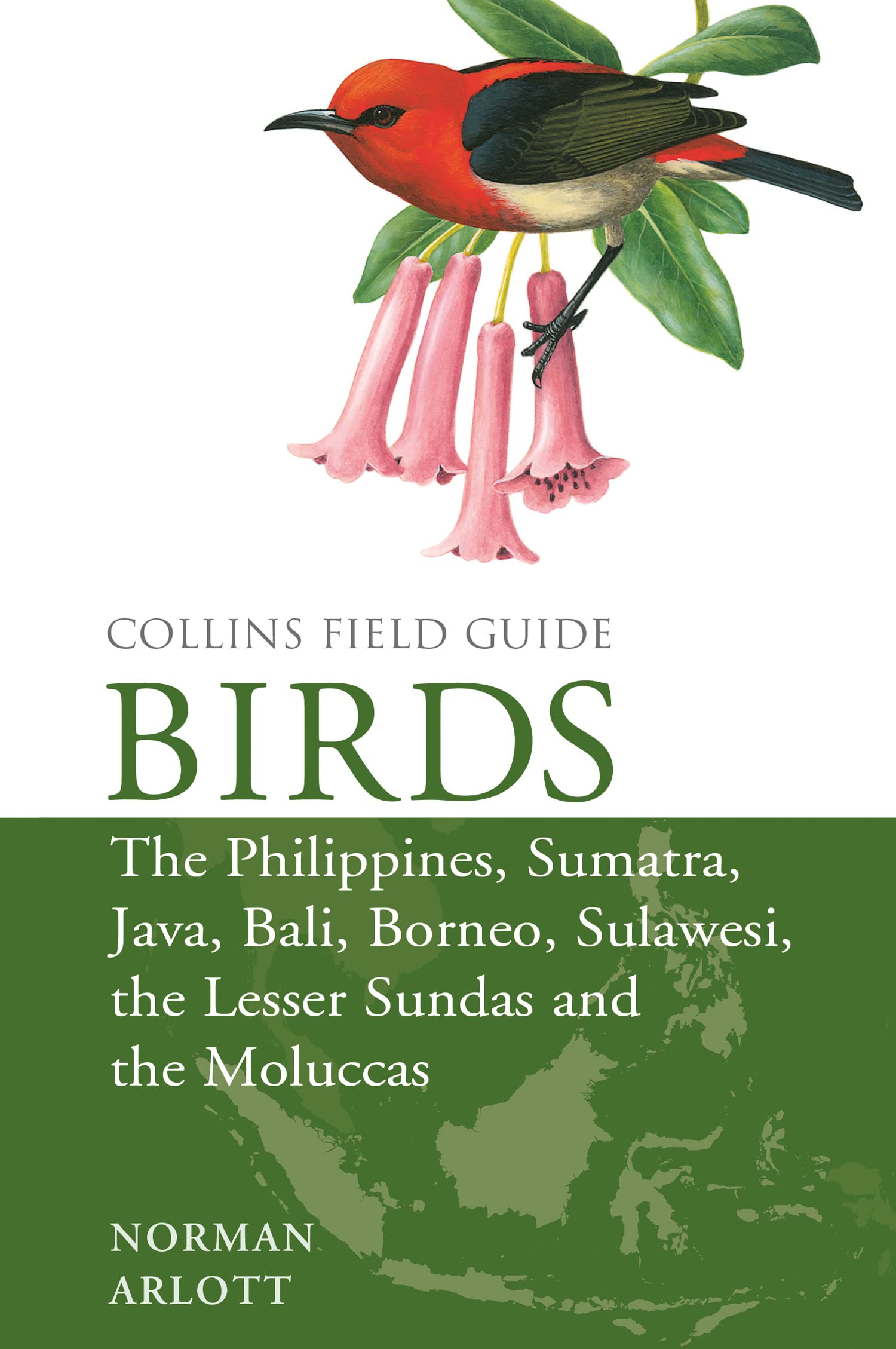Birds of the Philippines: And Sumatra, Java, Bali, Borneo, Sulawesi, the Lesser Sundas and the Moluccas book