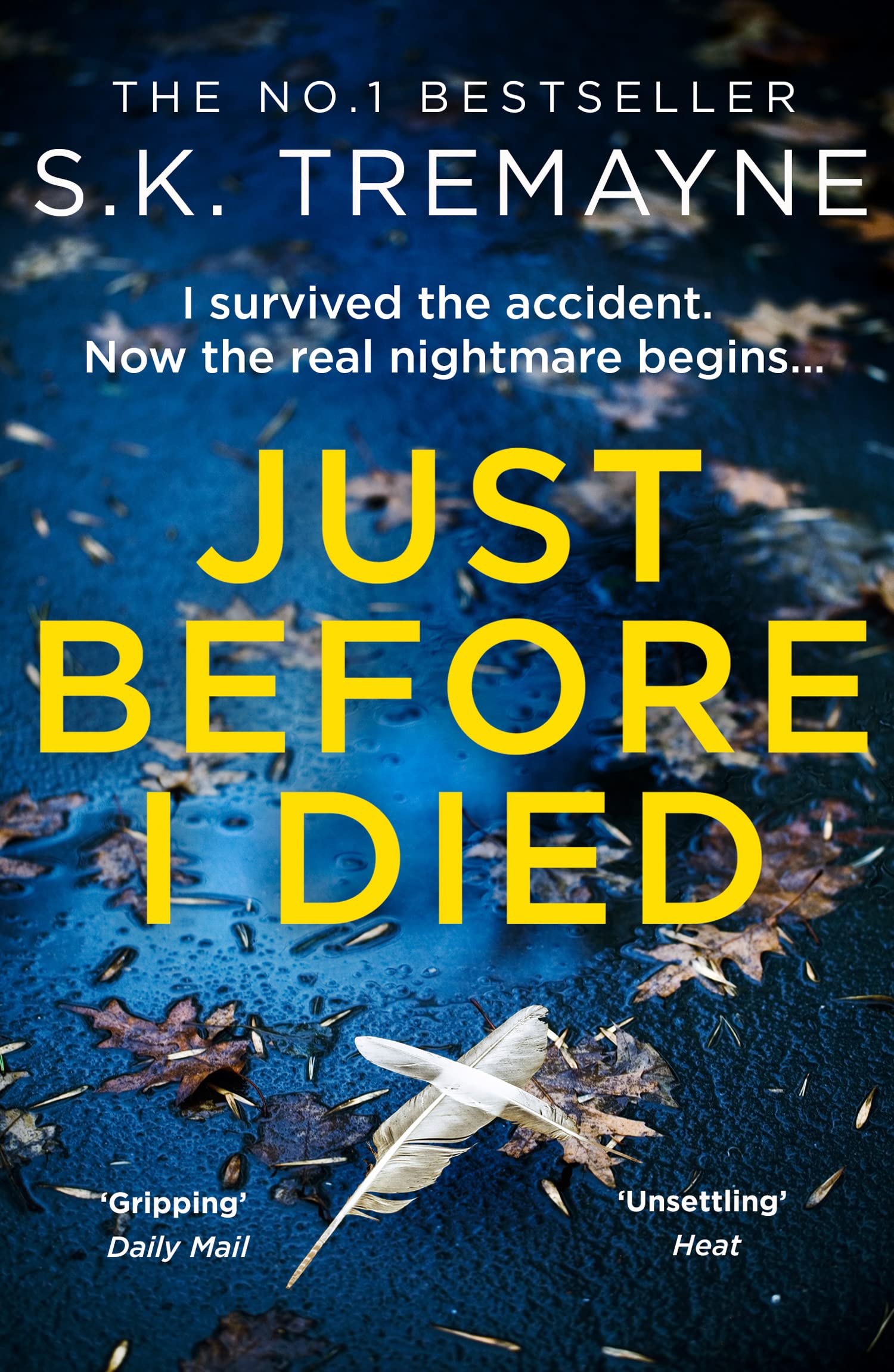Just Before I Died: The gripping new psychological thriller from the bestselling author of The Ice Twins Horror & Mystery