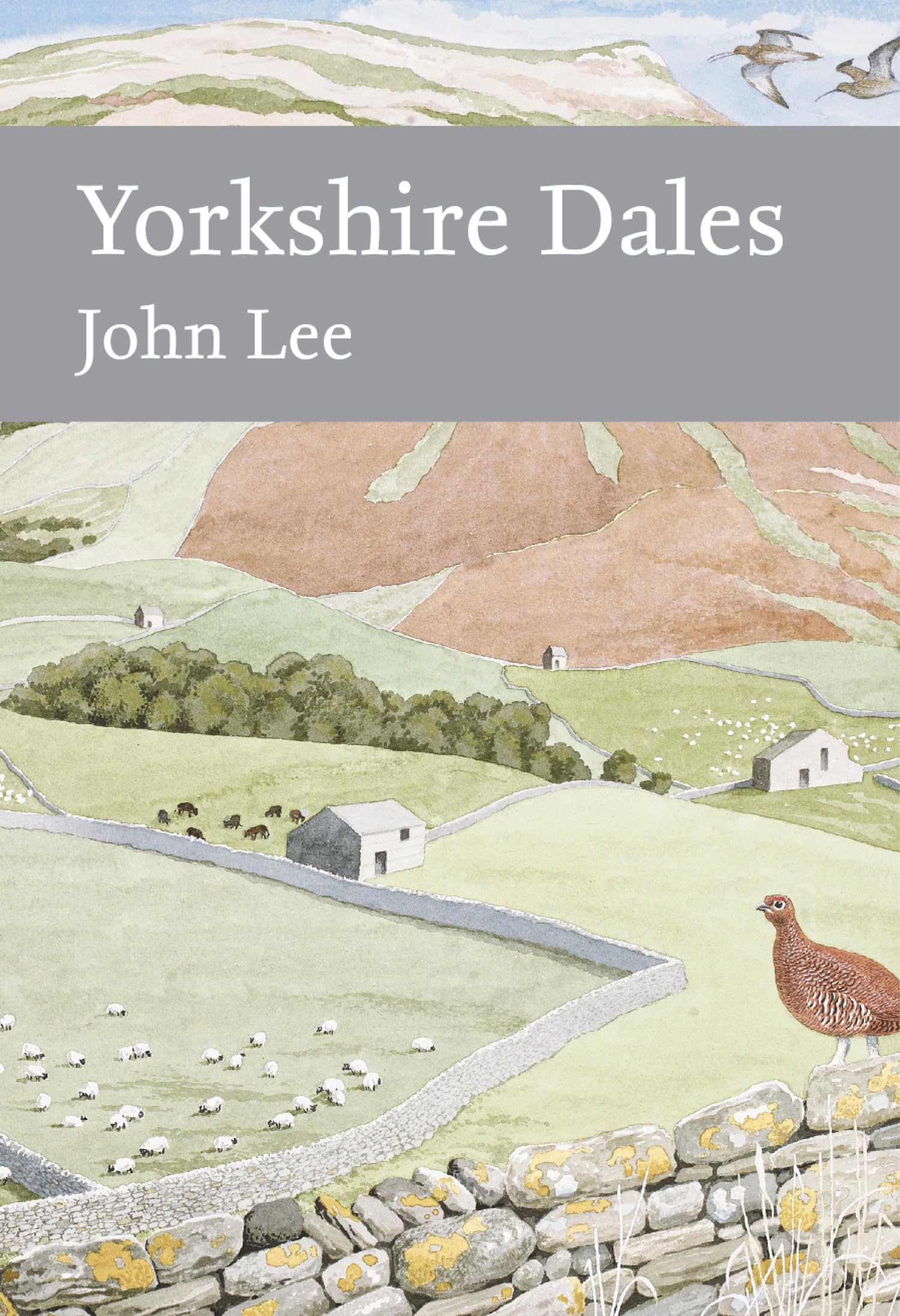 Yorkshire Dales (Collins New Naturalist Library) Geology & Geography