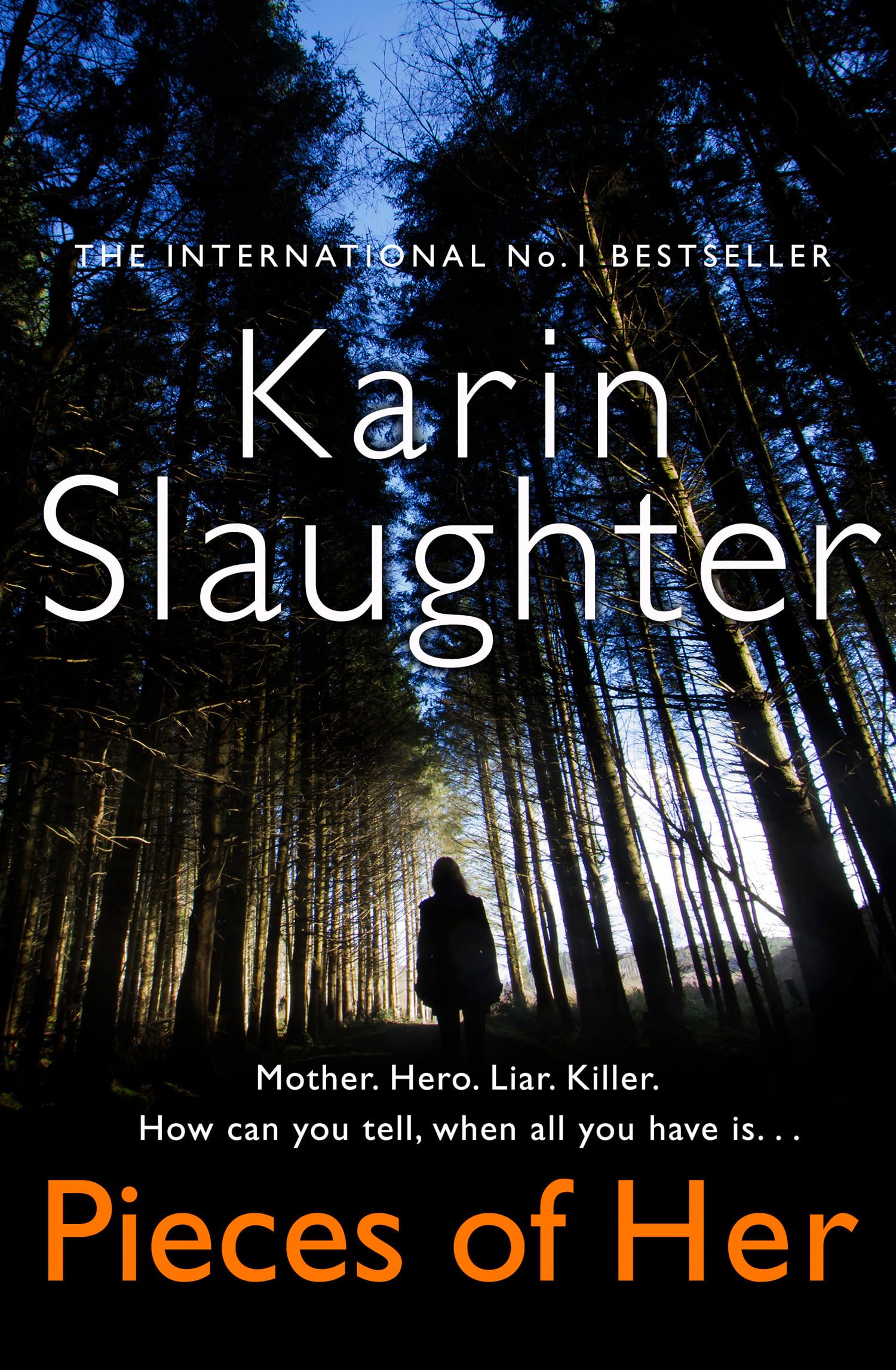 Pieces of Her: The stunning psychological crime thriller from the No. 1 Sunday Times bestselling suspense author, now a major Netflix series Contemporary literature Books