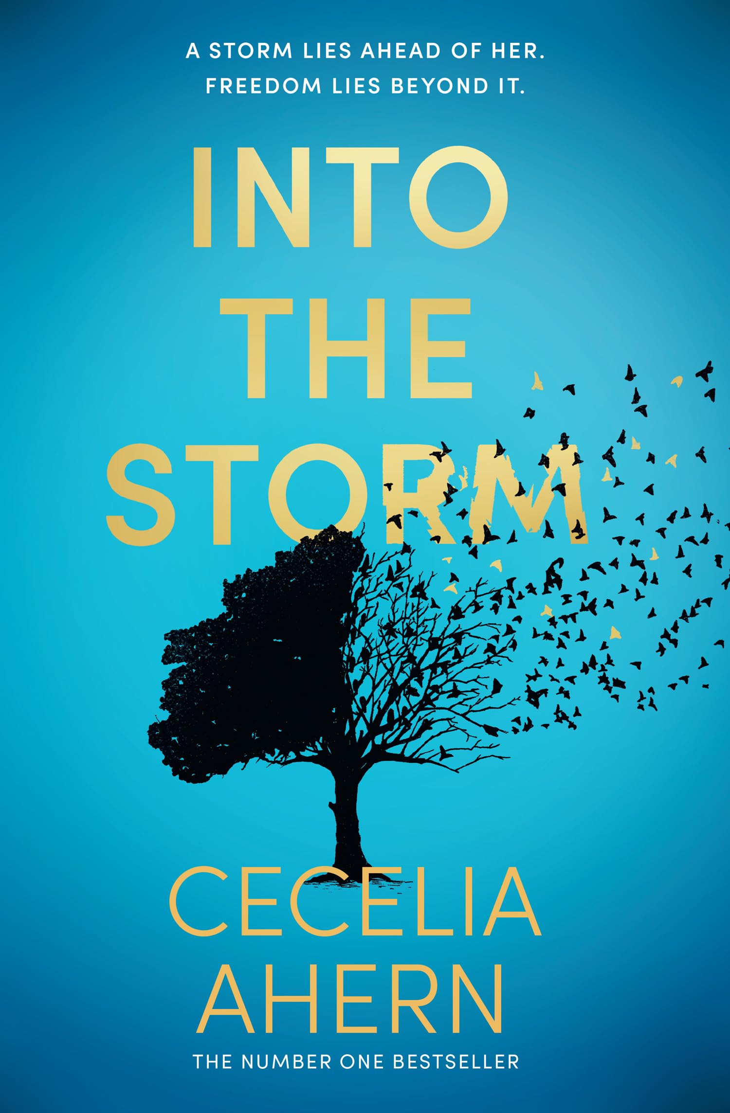 Into the Storm: The unforgettable new novel for 2024 from the Sunday Times number 1 bestselling author Contemporary literature