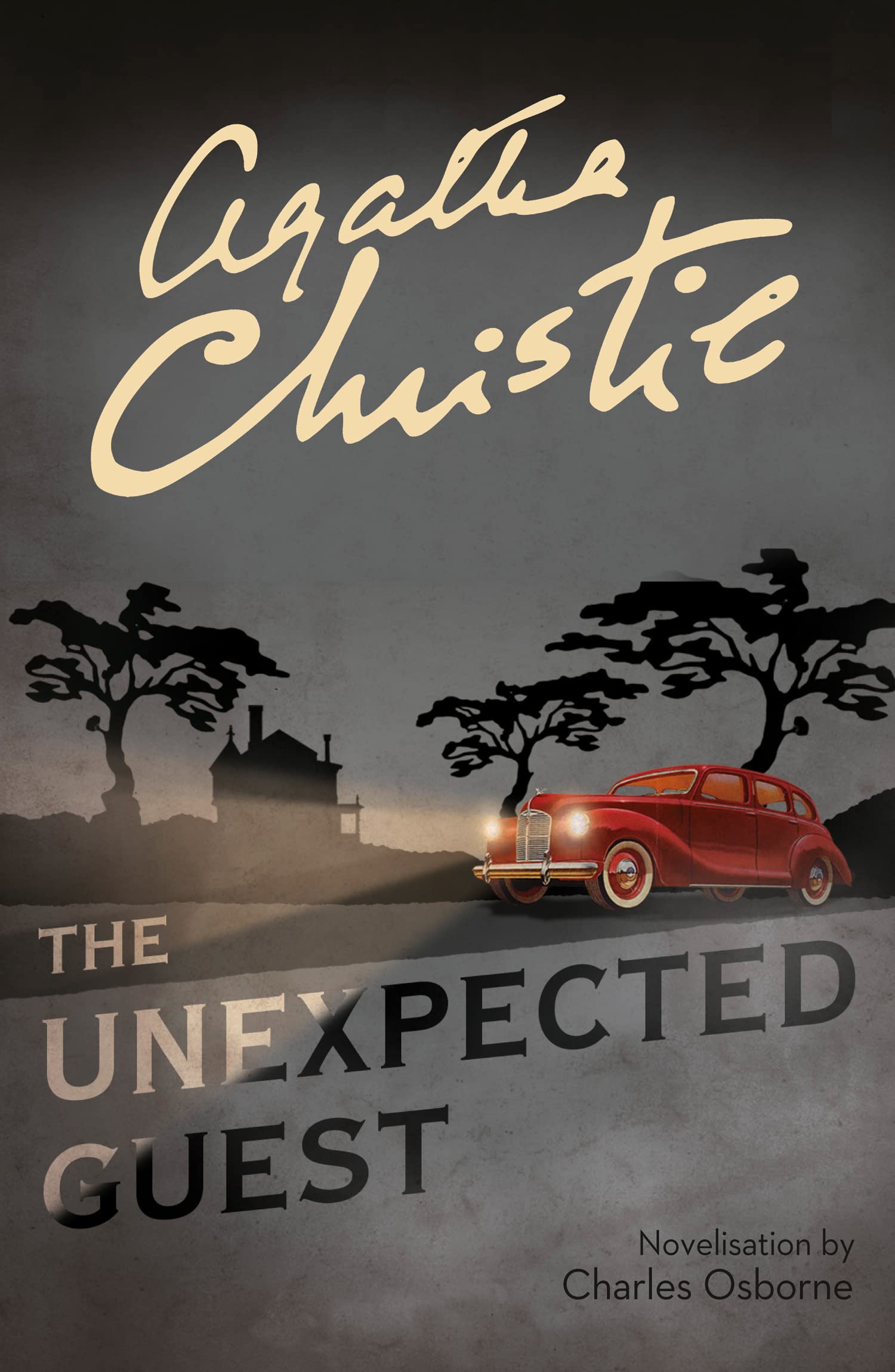 The Unexpected Guest Contemporary literature Books