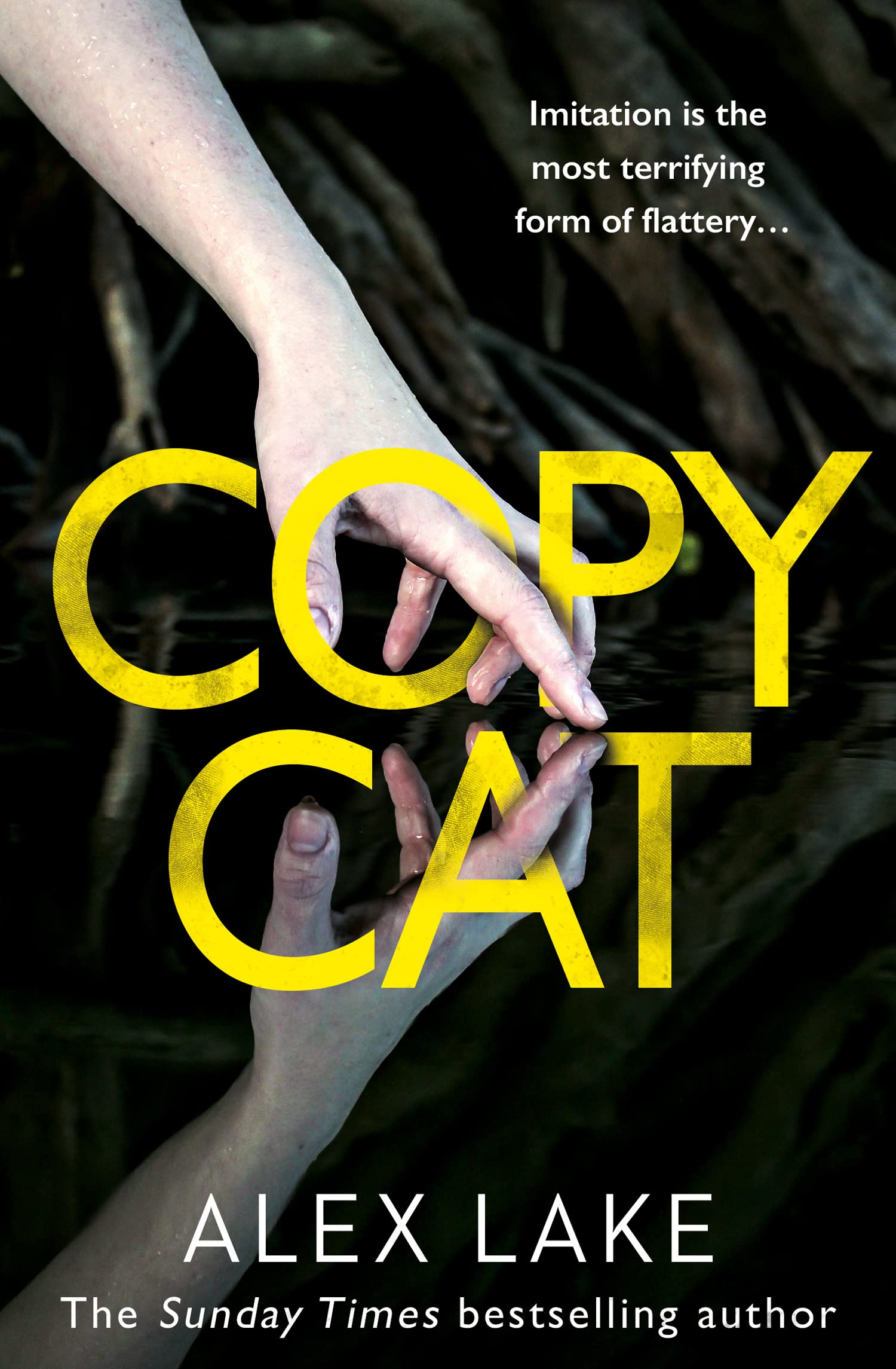 Copycat: The unputdownable thriller from the Top Ten Sunday Times bestselling author Contemporary literature