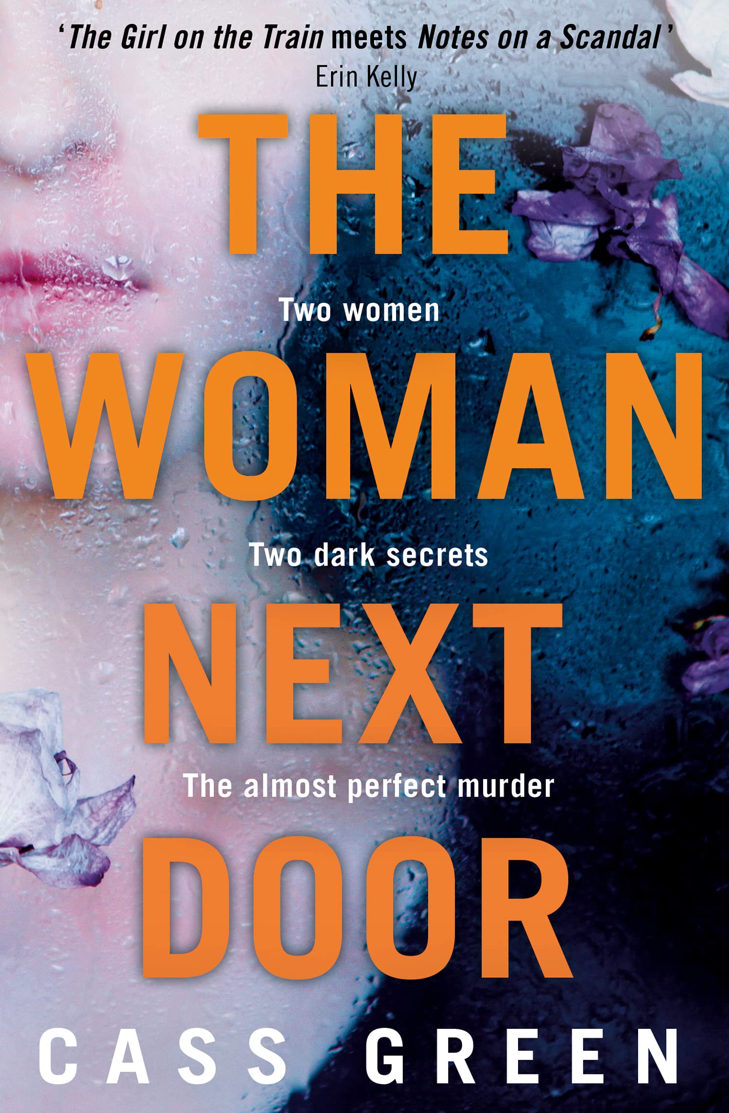 The Woman Next Door Contemporary literature