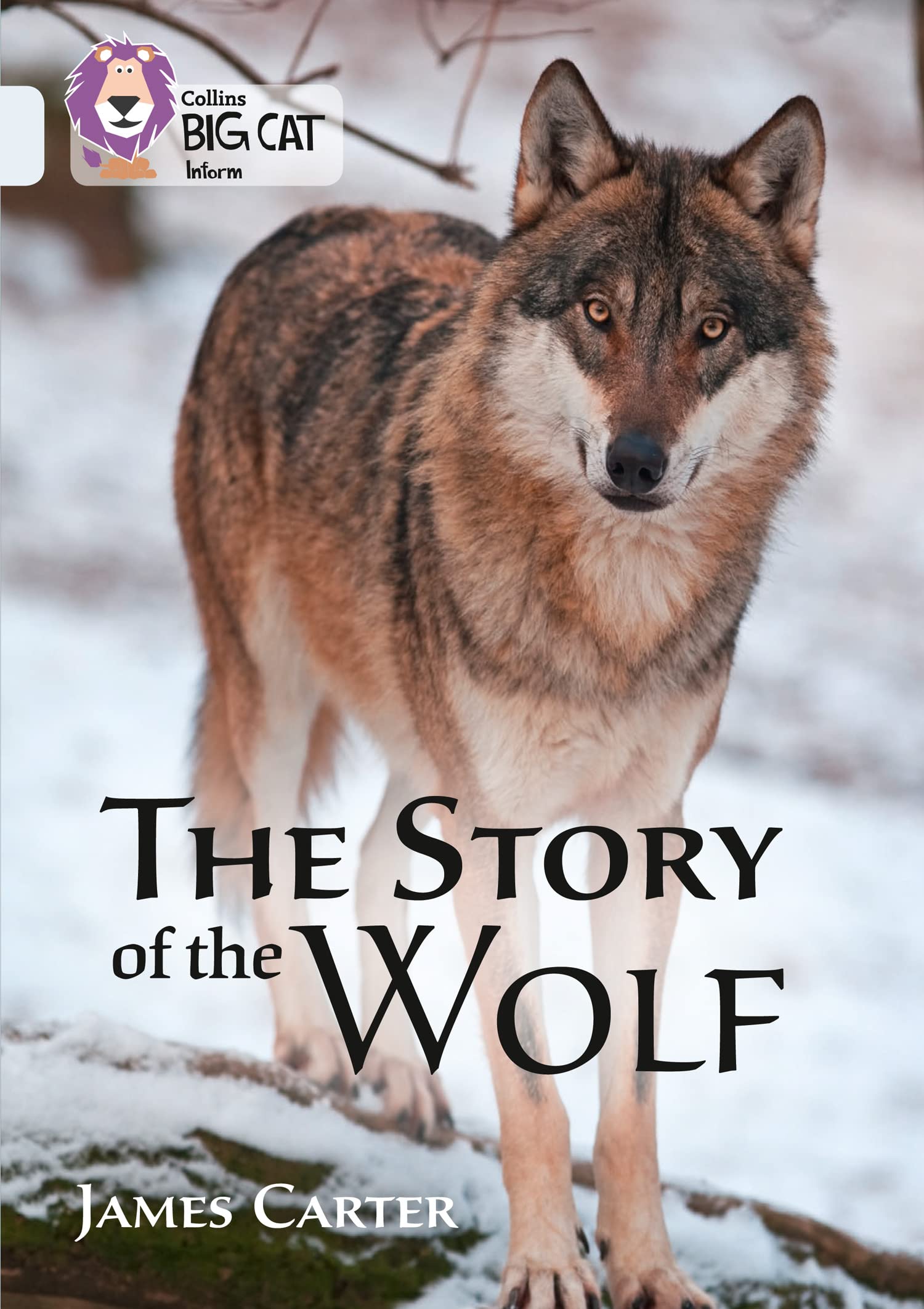 The Story of the Wolf Foreign Languages ​​& Dictionaries