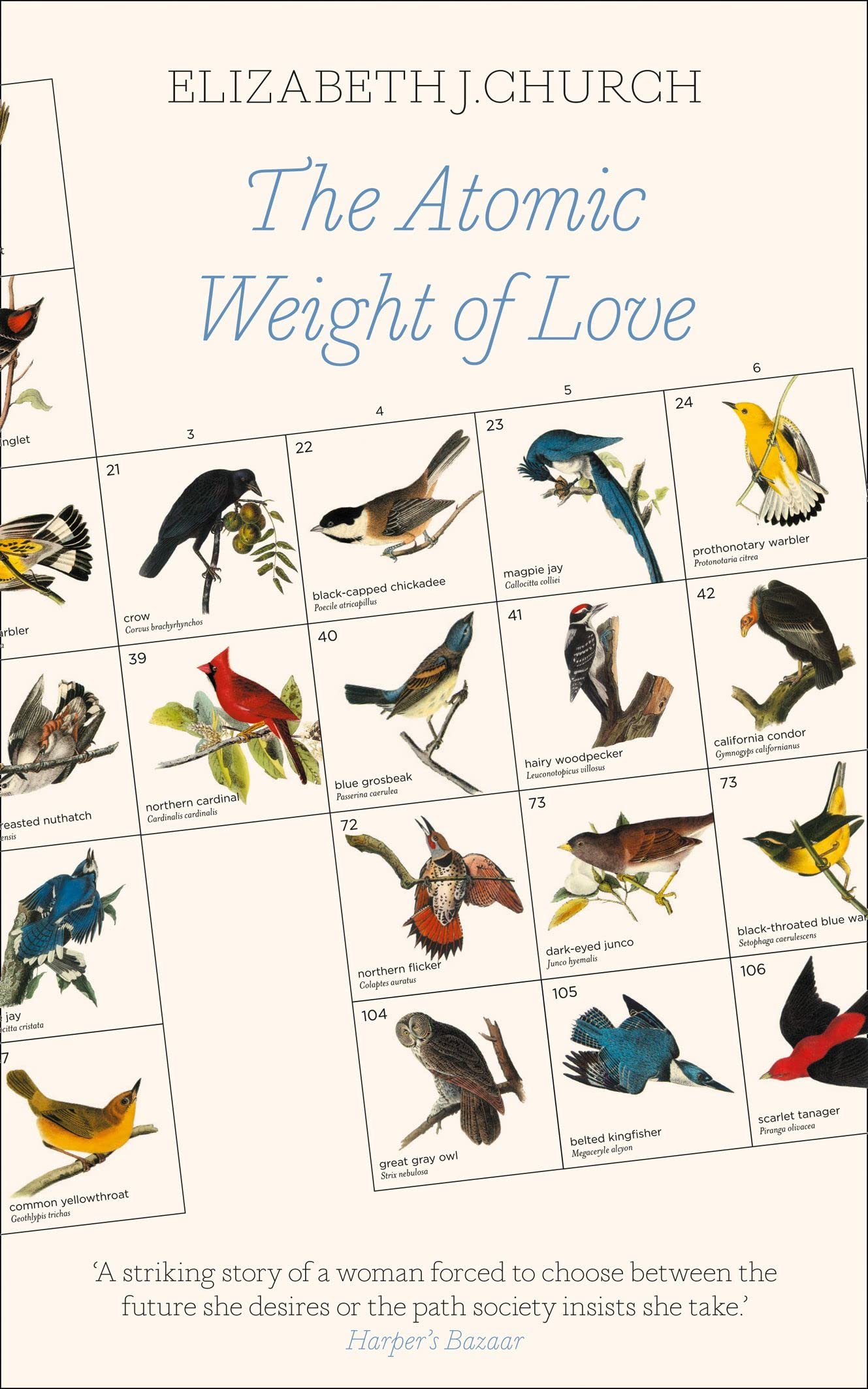 The Atomic Weight of Love Contemporary literature