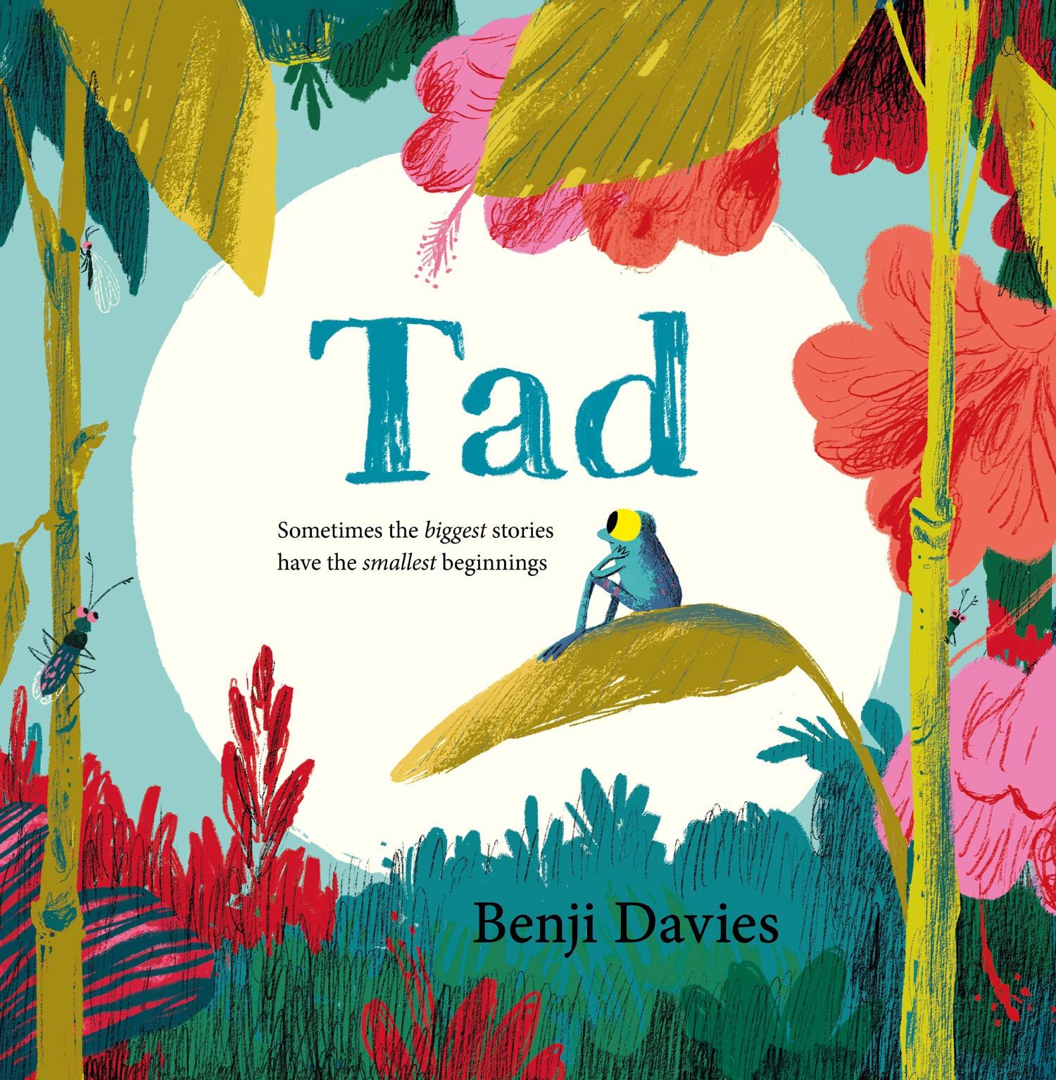 Tad: A big story about a brave minibeast Non-fiction