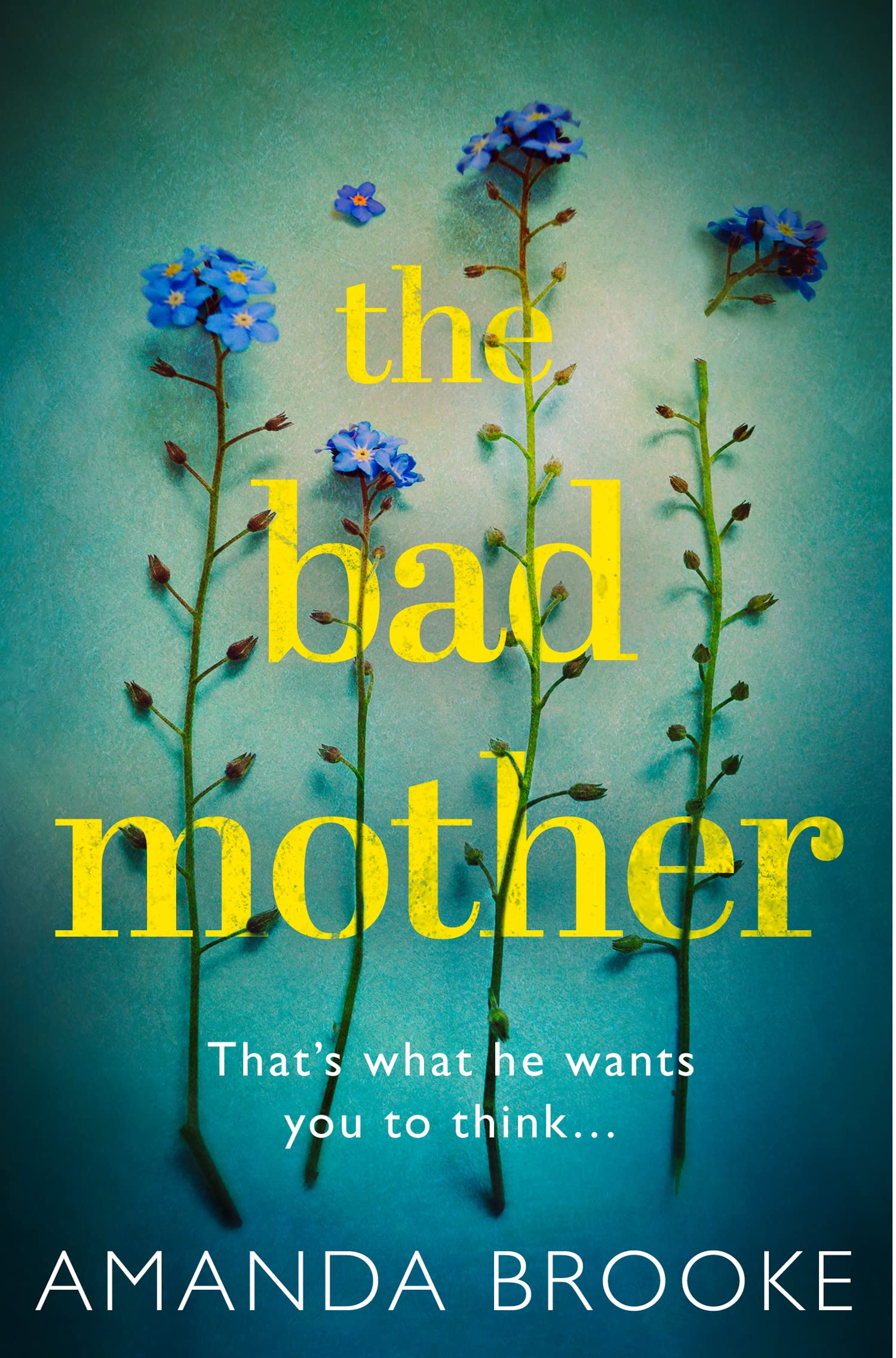 The Bad Mother: The addictive, gripping thriller that will make you question everything Contemporary literature
