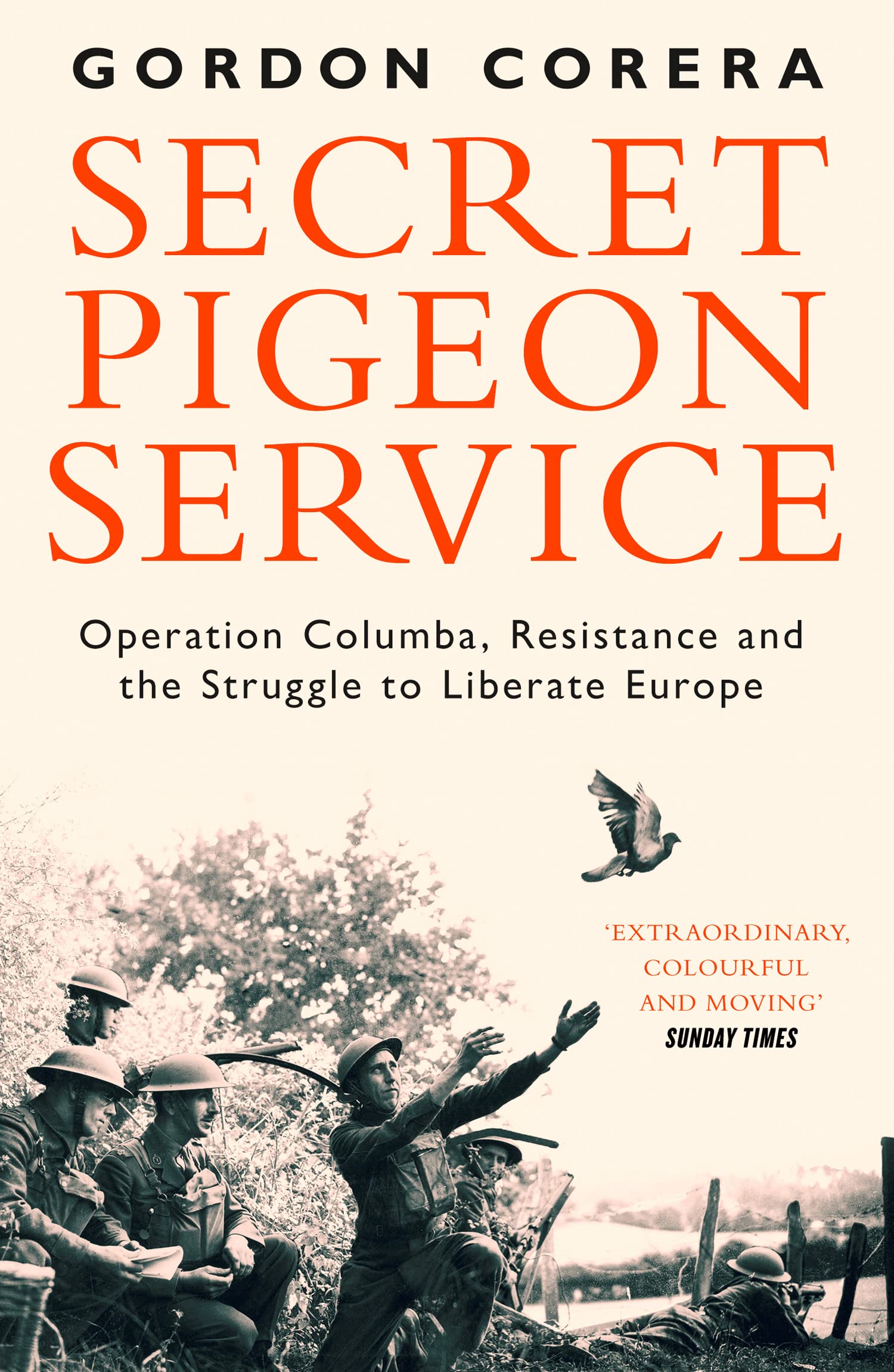 Product Image: Secret Pigeon Service