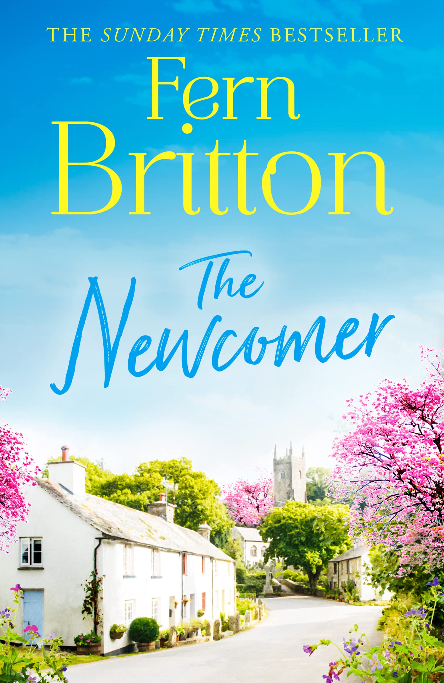 The Newcomer Contemporary literature Books