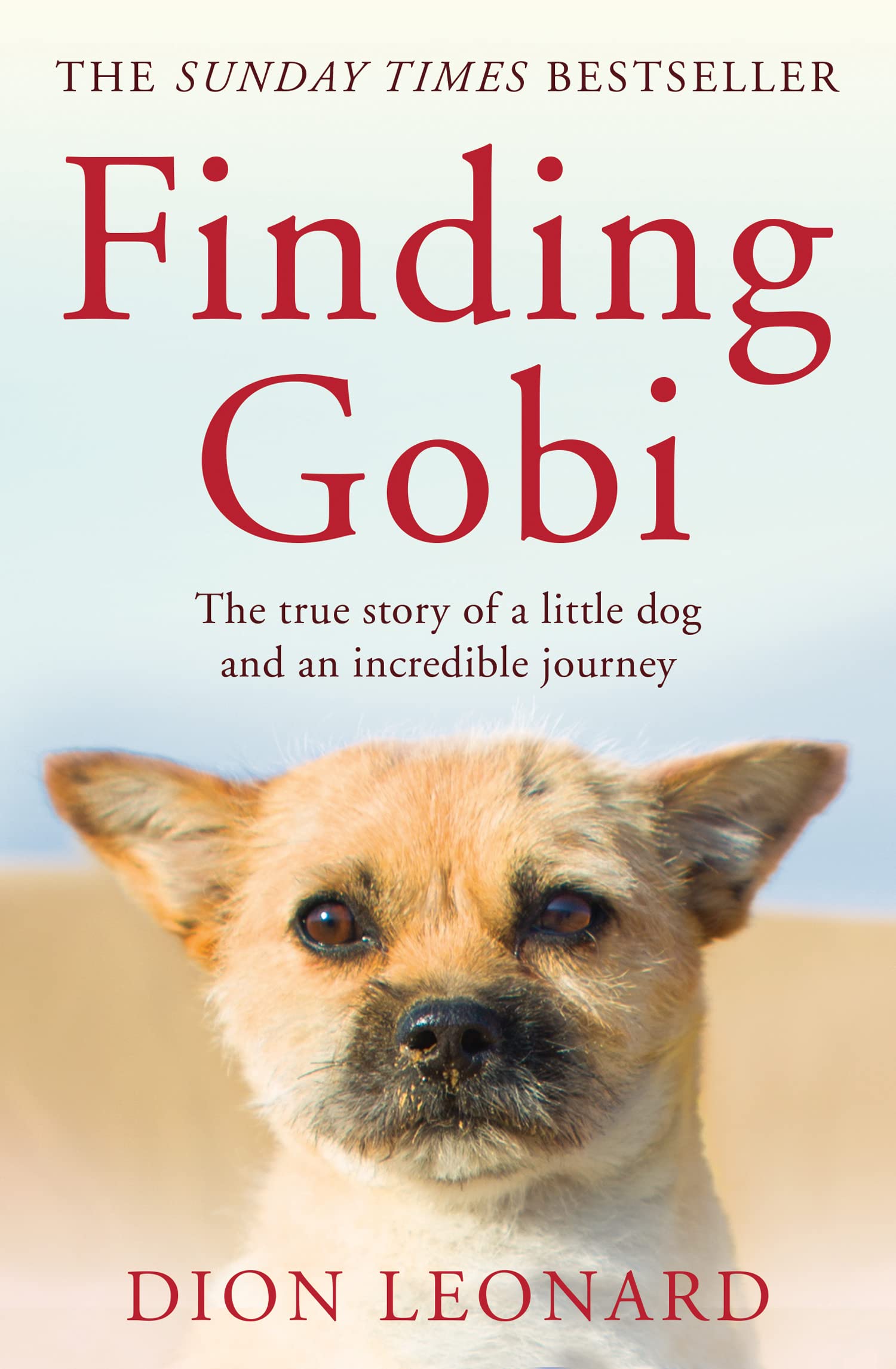 Finding Gobi (Main edition) Personalities Books