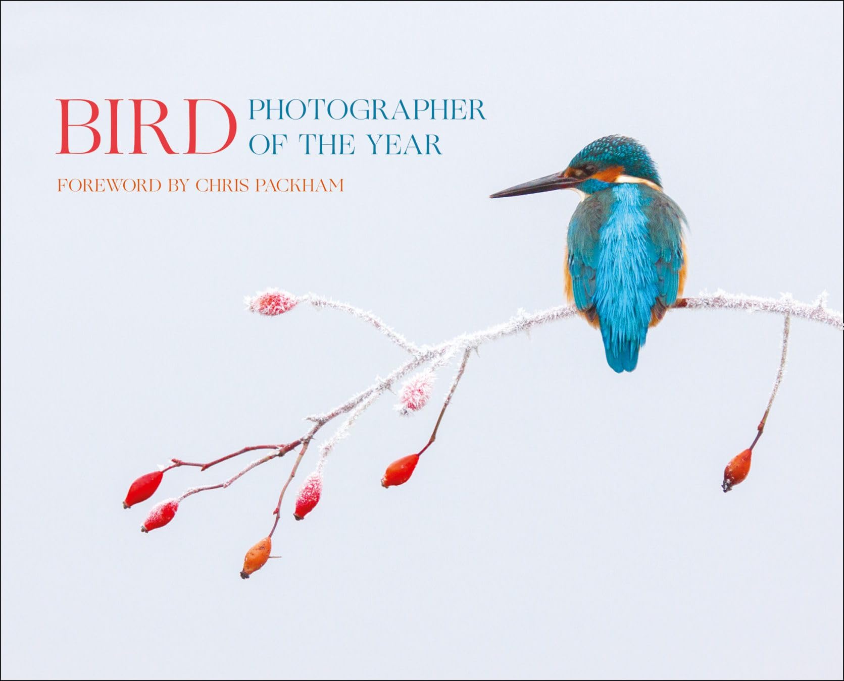 Bird Photographer of the Year: Collection 2 Photography