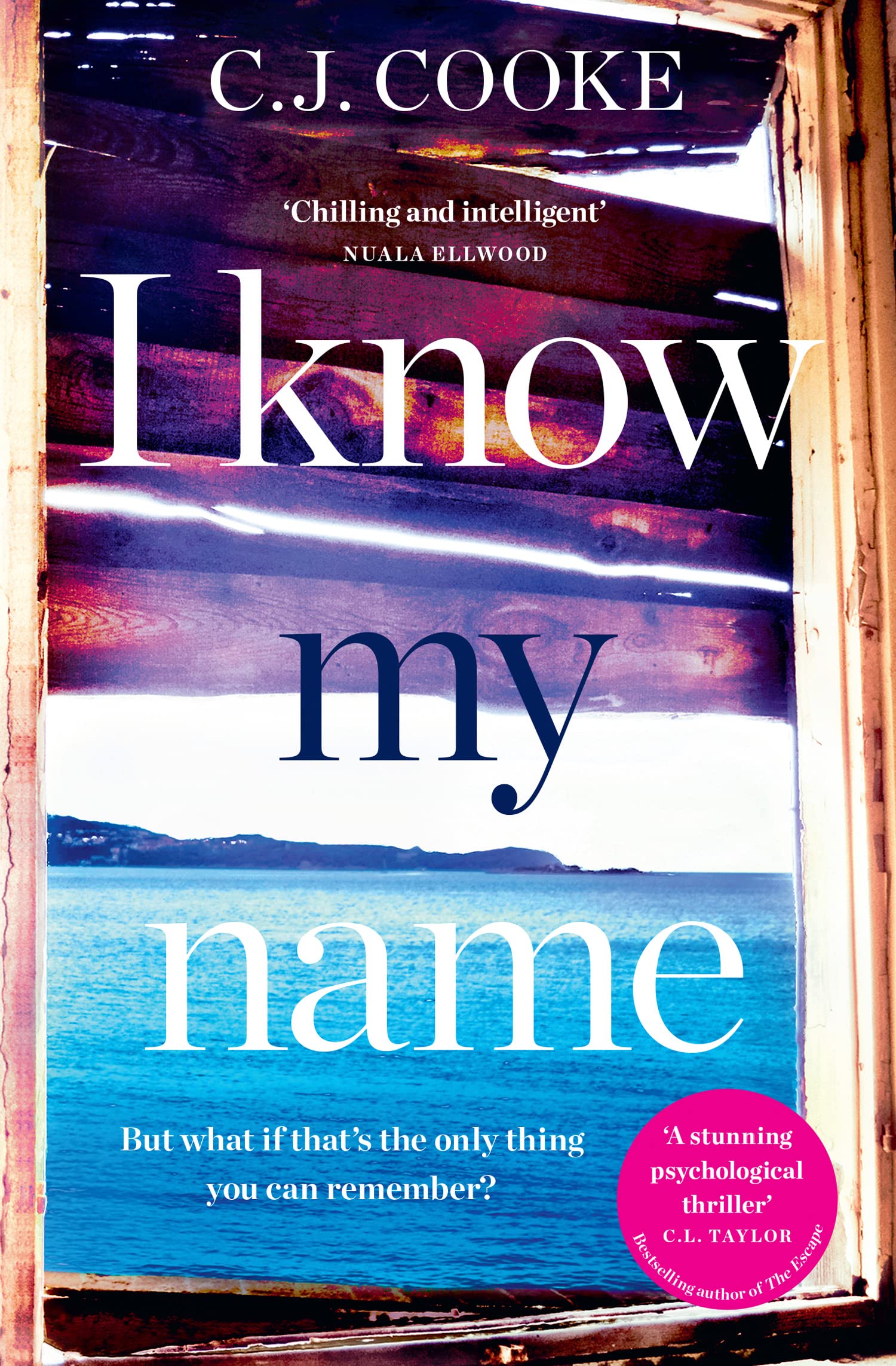I KNOW MY NAME: An addictive thriller with a chilling twist Contemporary literature