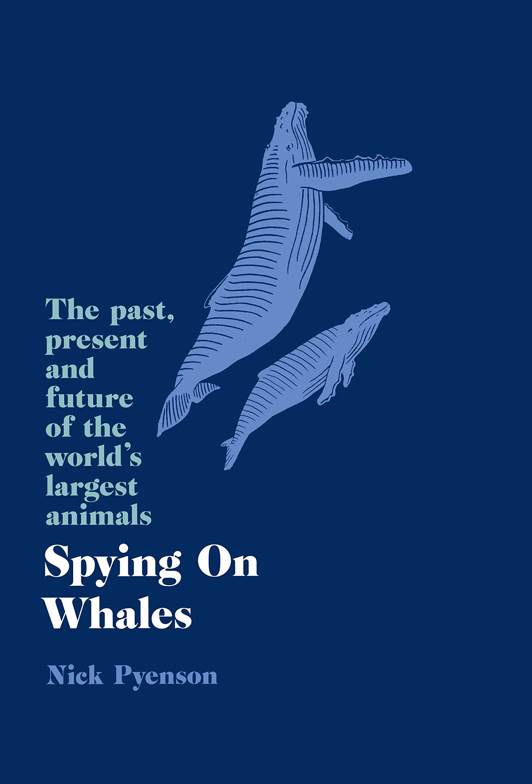 Spying on Whales: The Past, Present and Future of the World’s Largest Animals Mathematics
