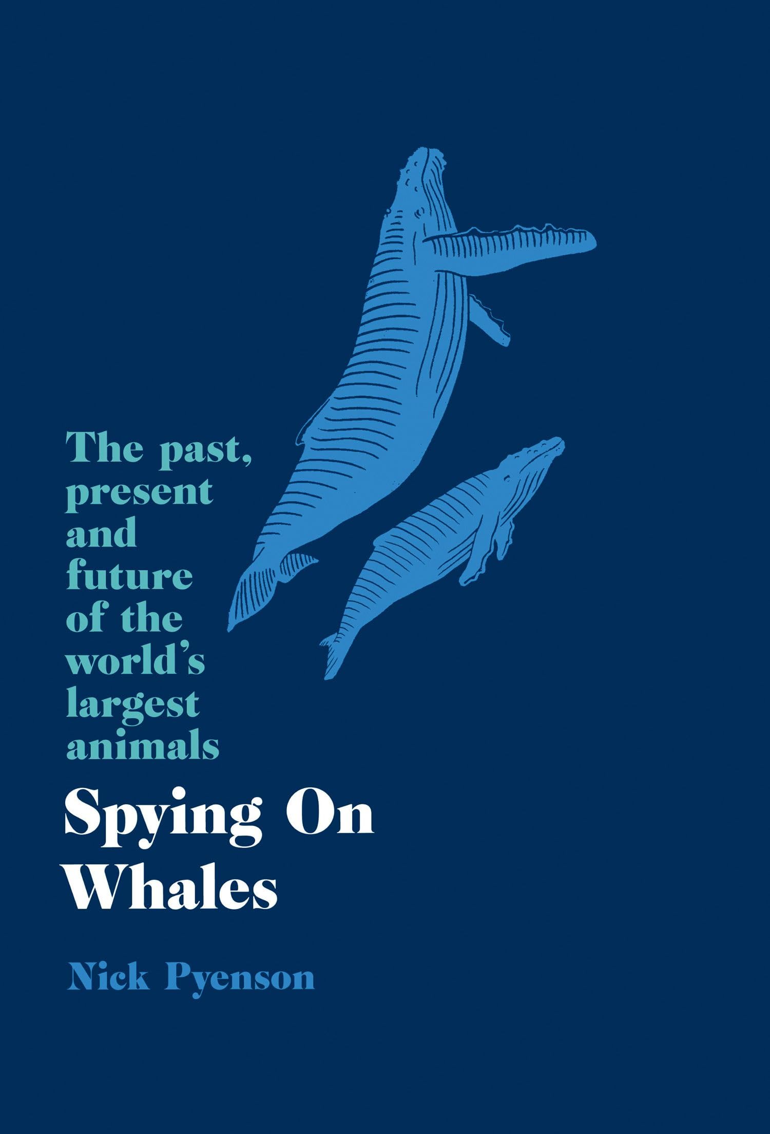 Spying on Whales: The Past, Present and Future of the World's Largest Animals Mathematics