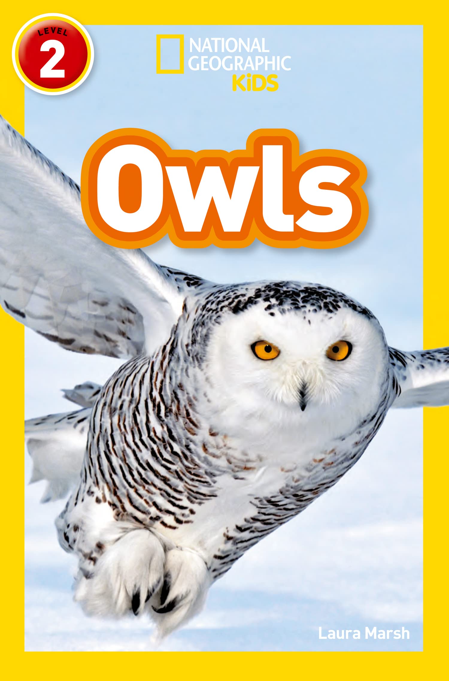 Owls Novels & Short Stories for children