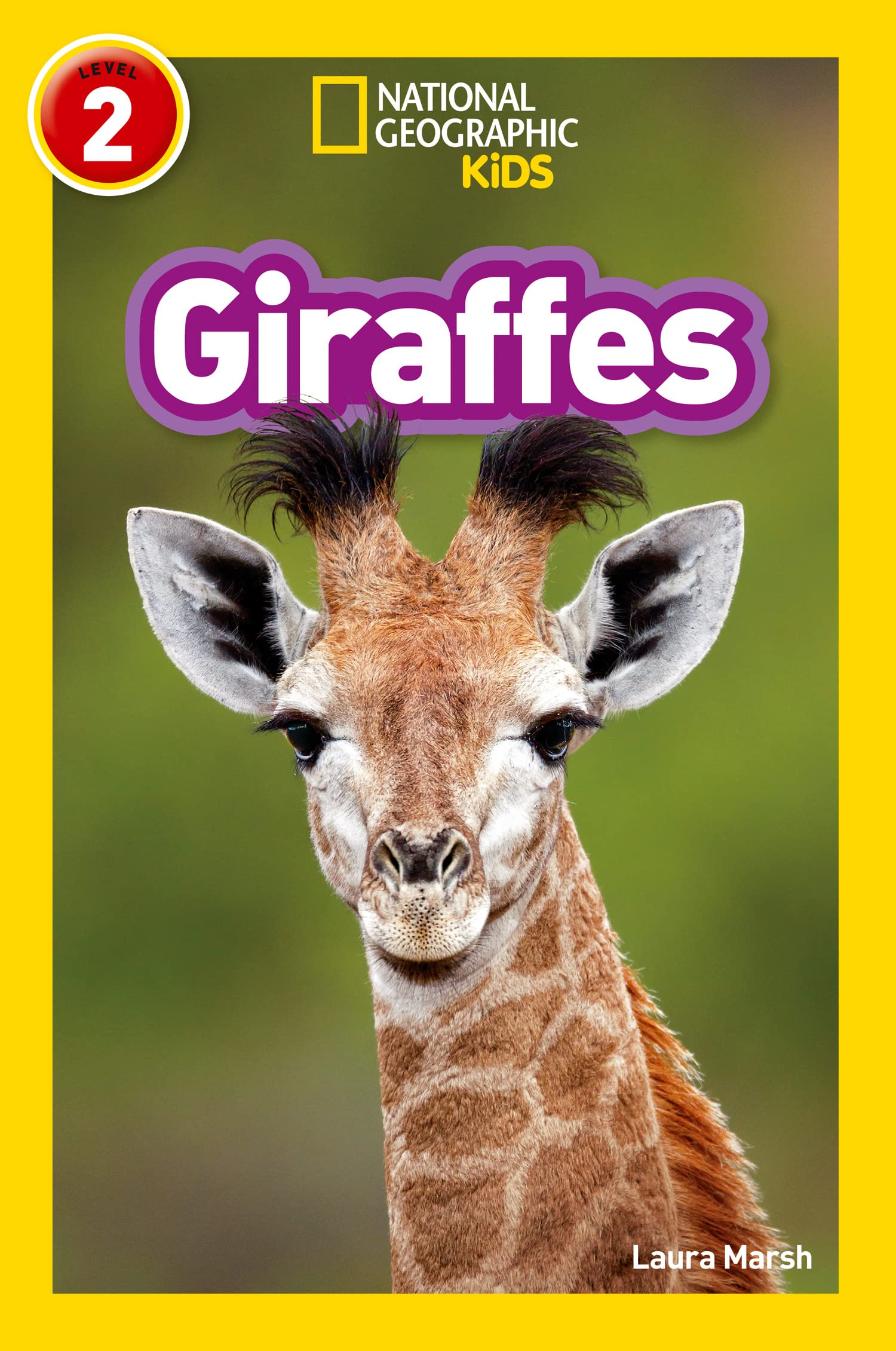 Giraffes: Level 2 (National Geographic Readers) Learning & Reference