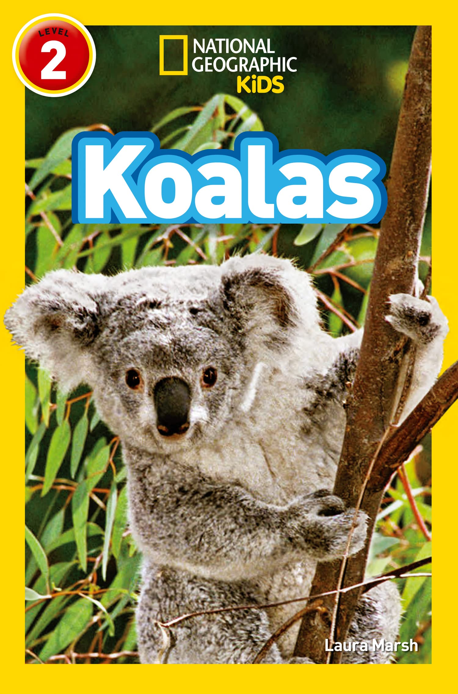 Koalas: Level 2 (National Geographic Readers) Learning & Reference