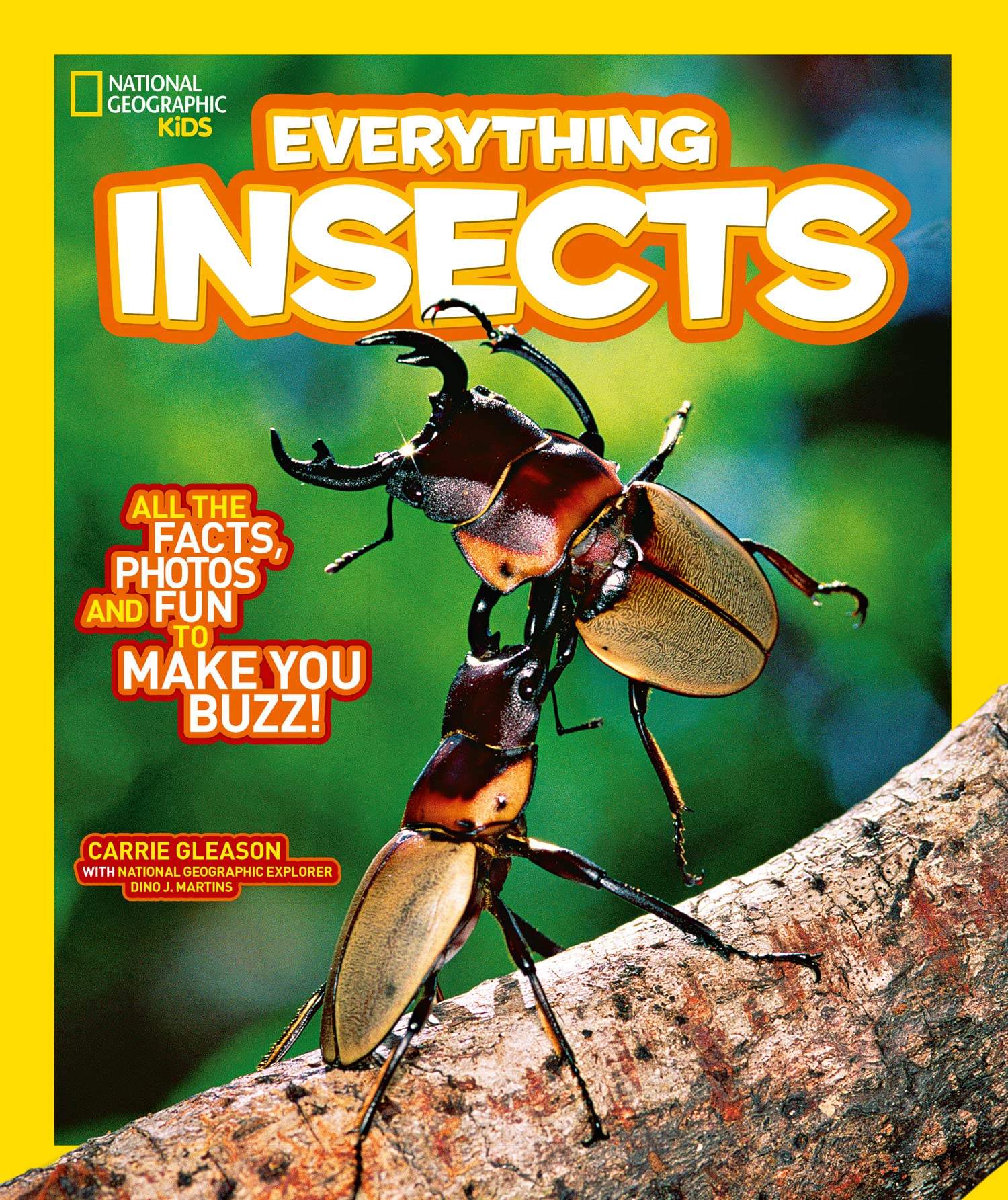 Everything: Insects (National Geographic Kids) Mathematics