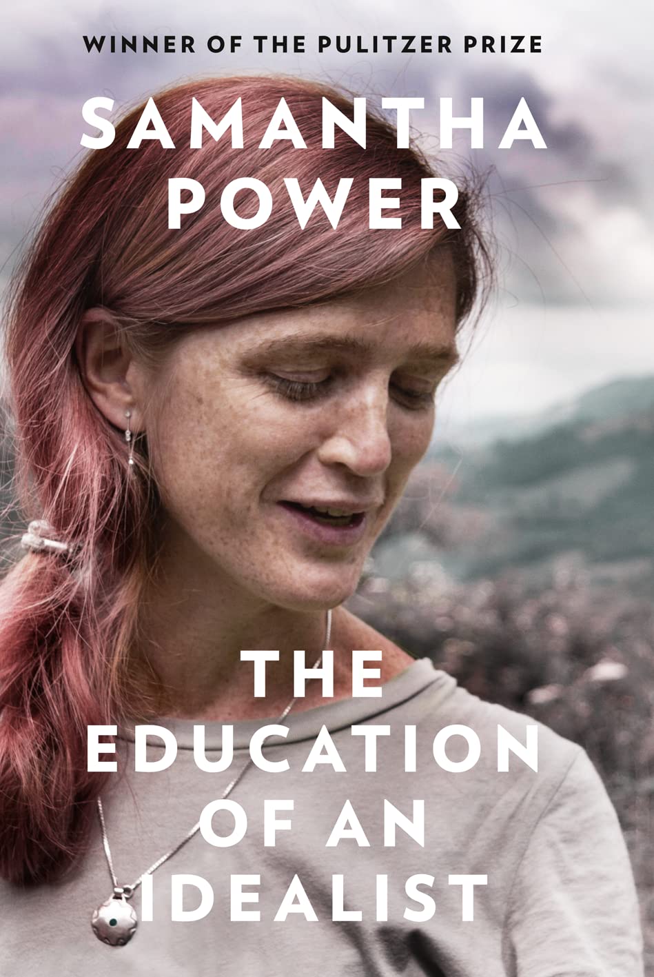 The Education of an Idealist Art & Literature