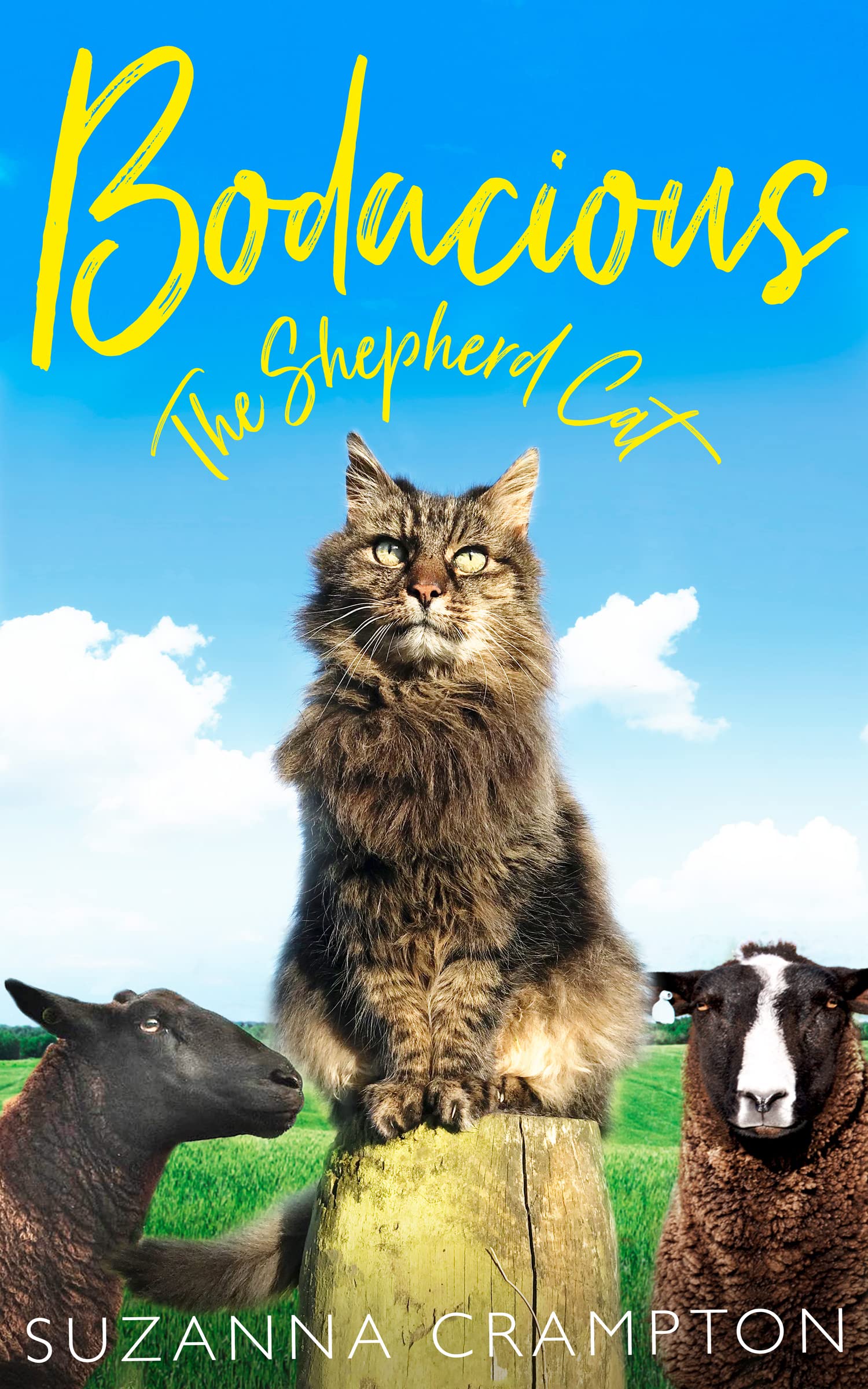 Product Image: Bodacious: The Shepherd Cat