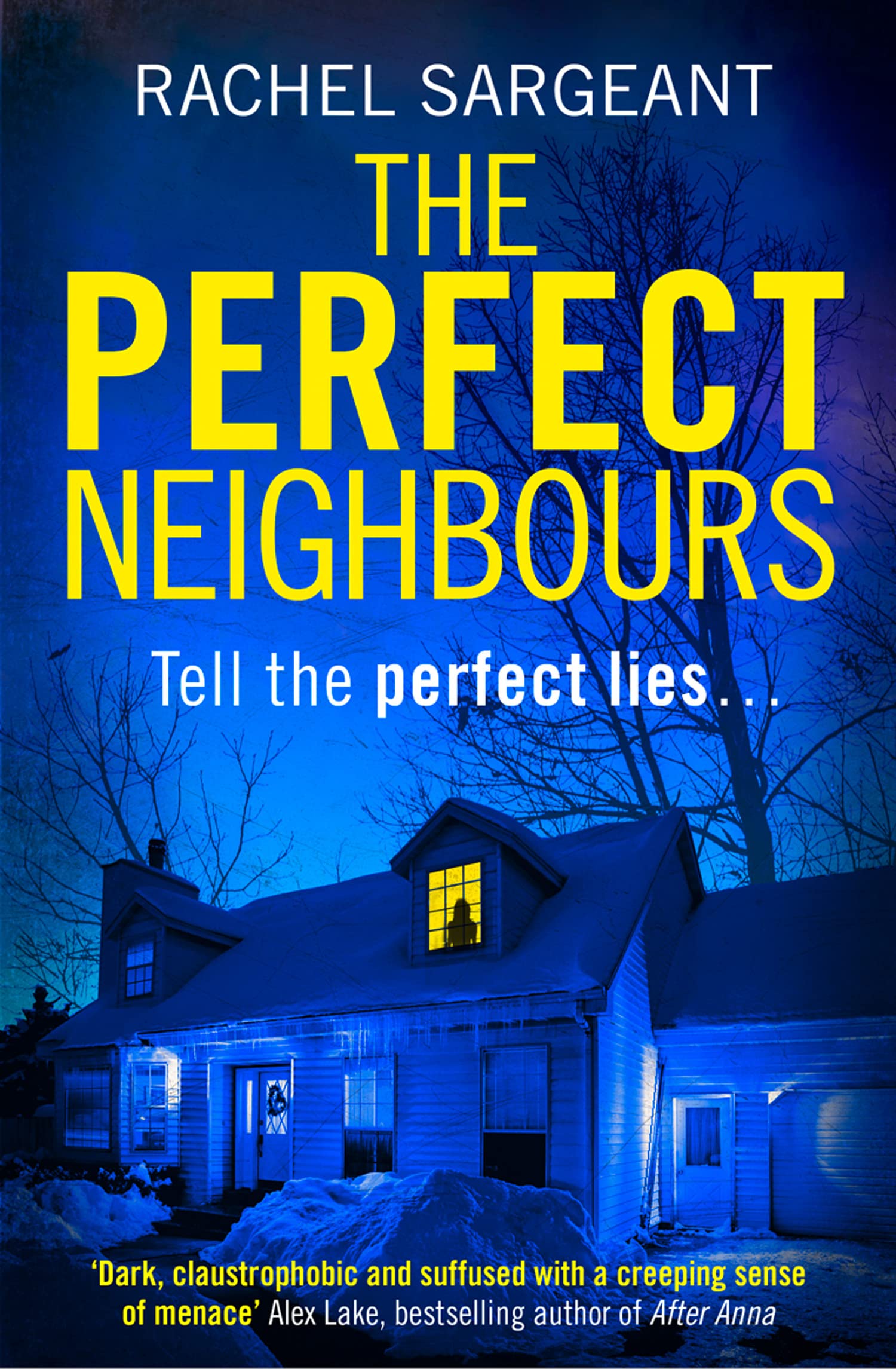 The Perfect Neighbours Contemporary literature