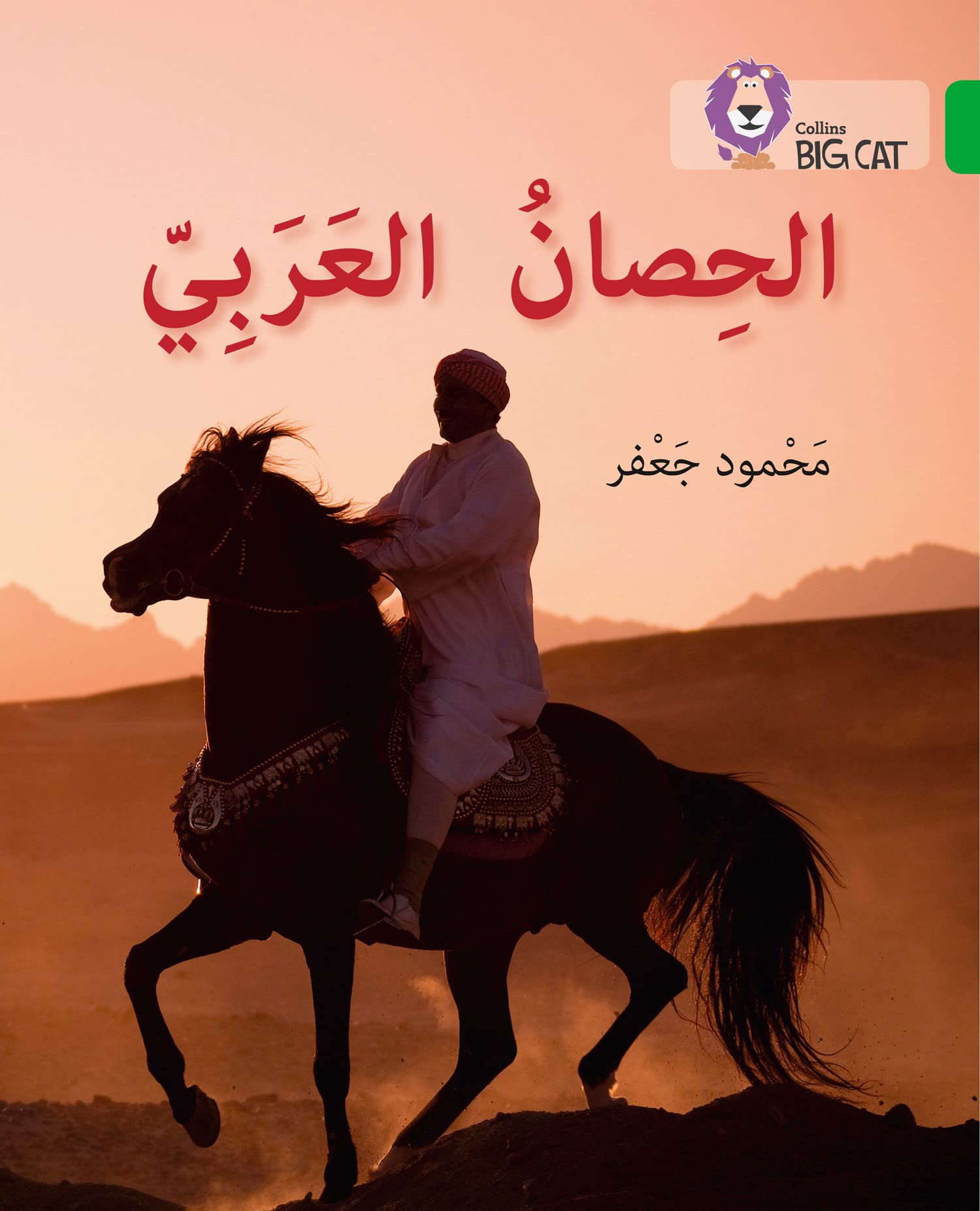 The Arabian Horse: Level 5 (Collins Big Cat Arabic Reading Programme) Education & Training