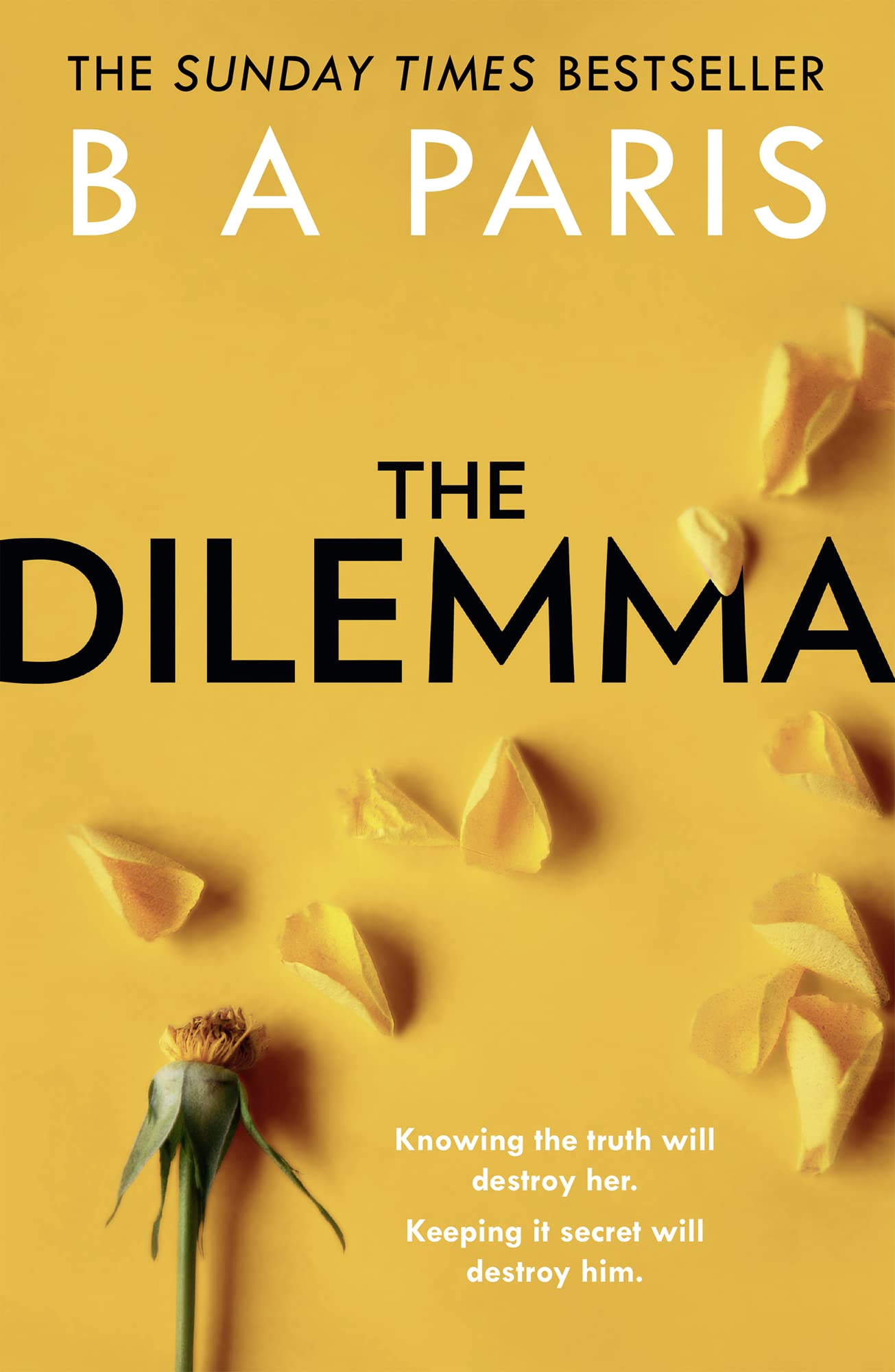 The Dilemma Contemporary literature Books