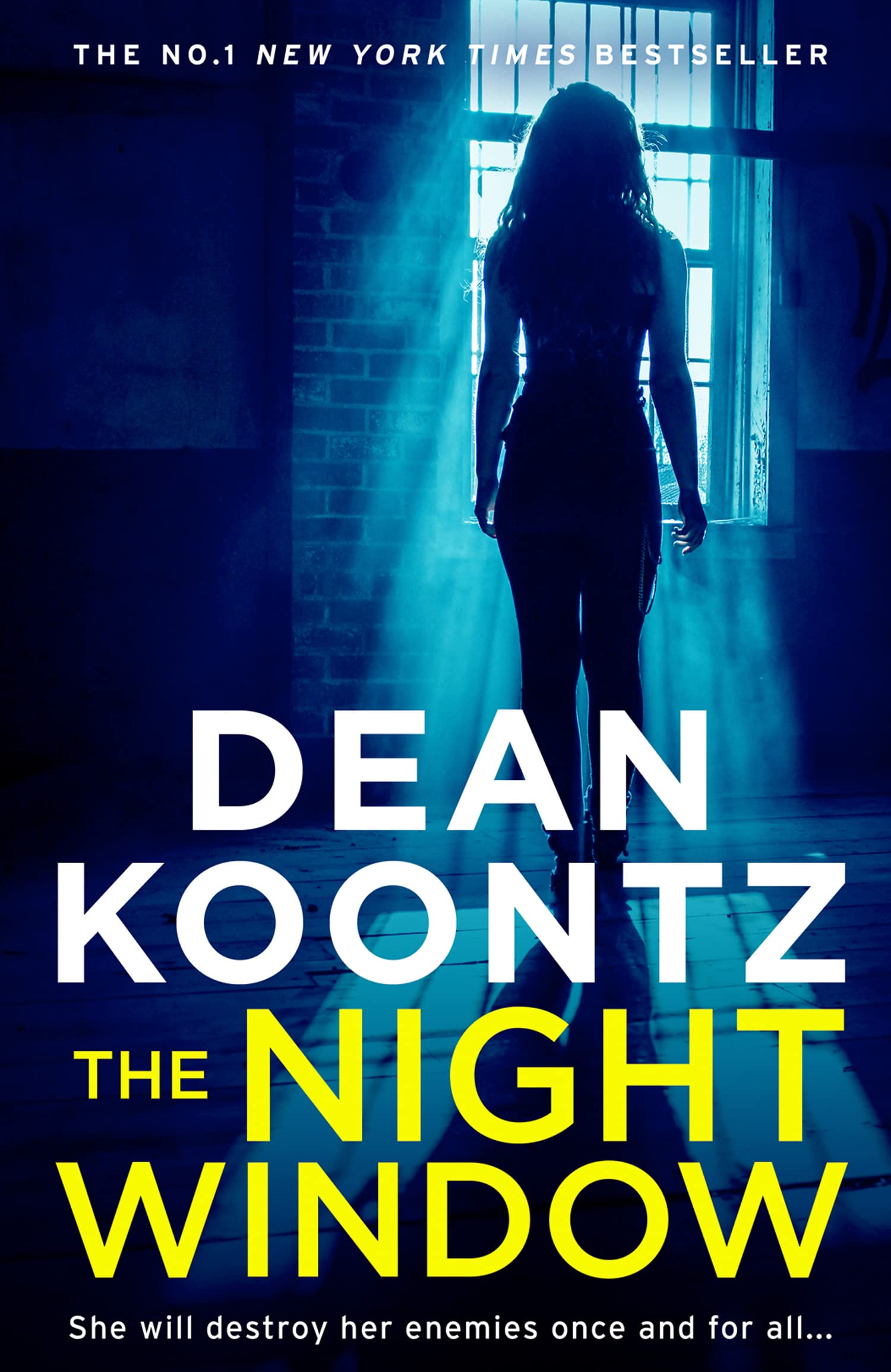The Night Window: The new extraordinary suspense thriller in 2019 from the international New York Times bestselling author of The Eyes of Darkness (Jane Hawk Thriller) Action & Adventure