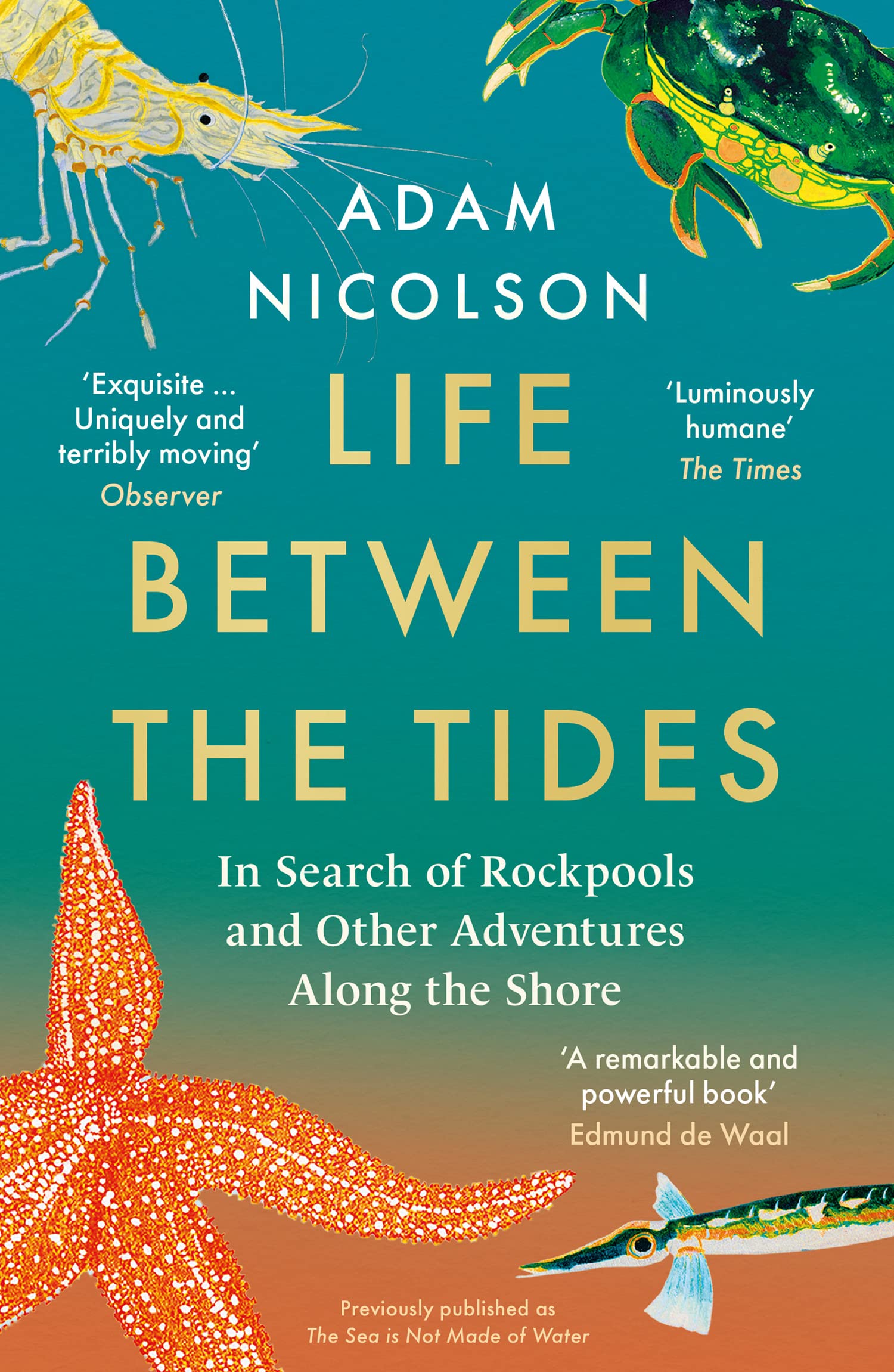 Life Between the Tides Science Books