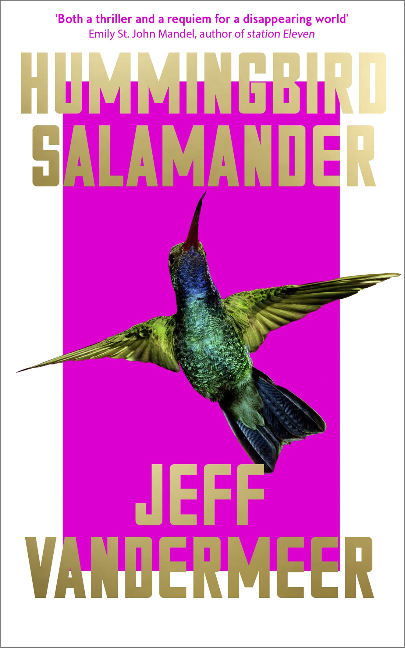 Product Image: Hummingbird Salamander