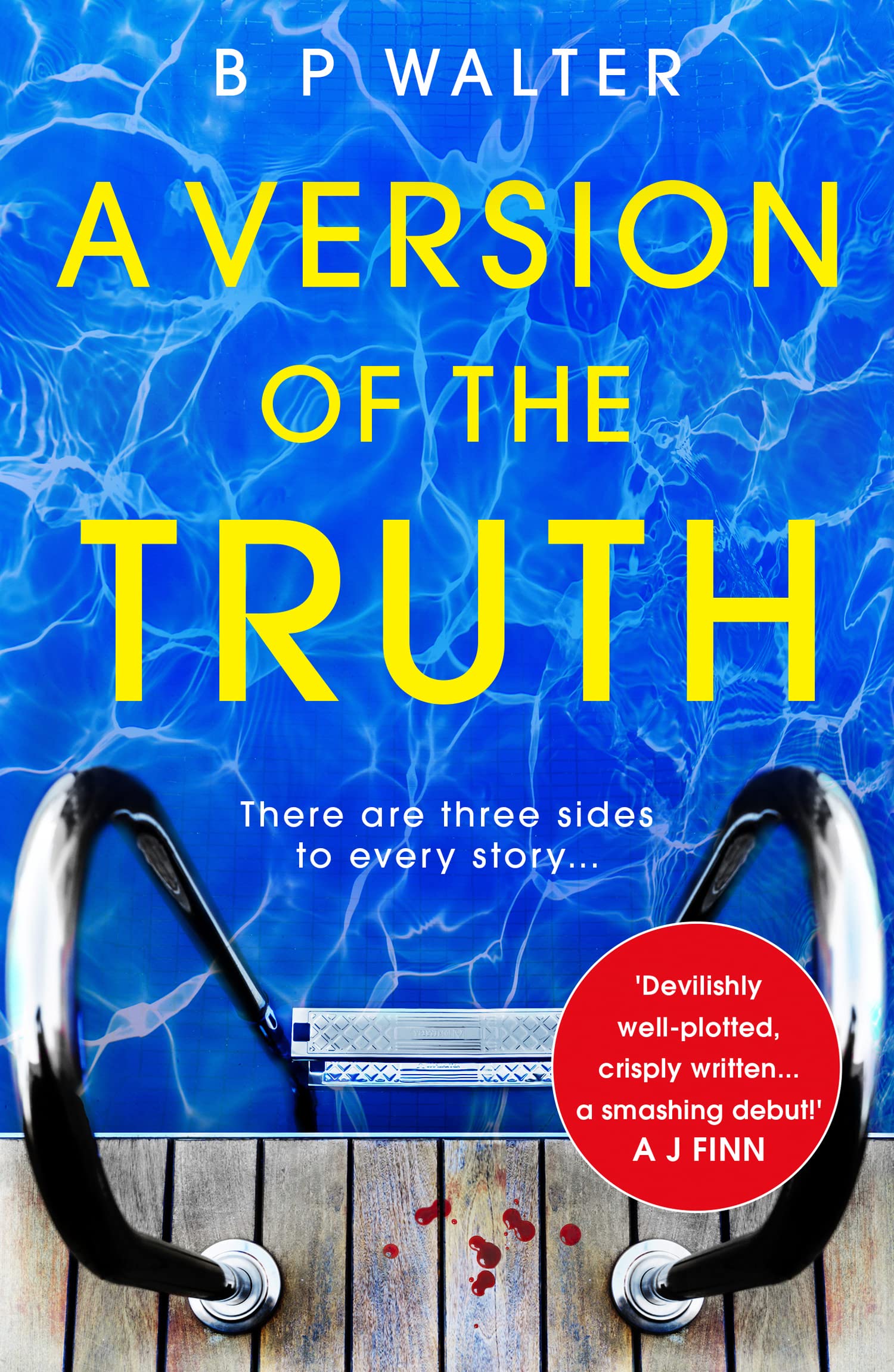 A Version of the Truth Contemporary literature Books
