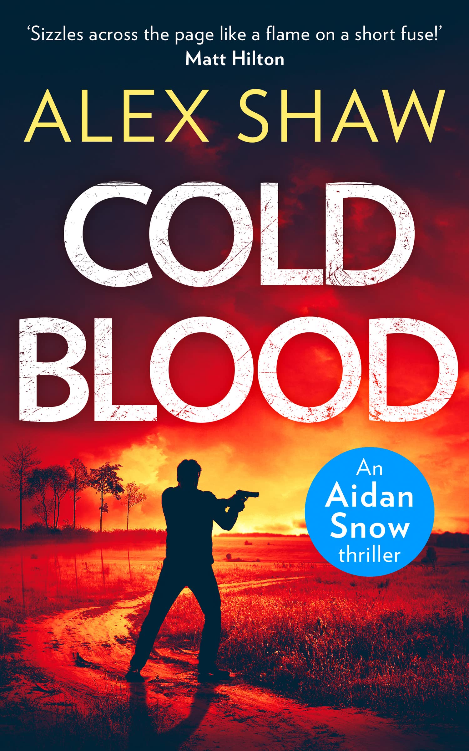 COLD BLOOD: An explosive, SAS action adventure crime thriller that will keep you gripped (An Aidan Snow SAS Thriller, Band 1) Action & Adventure