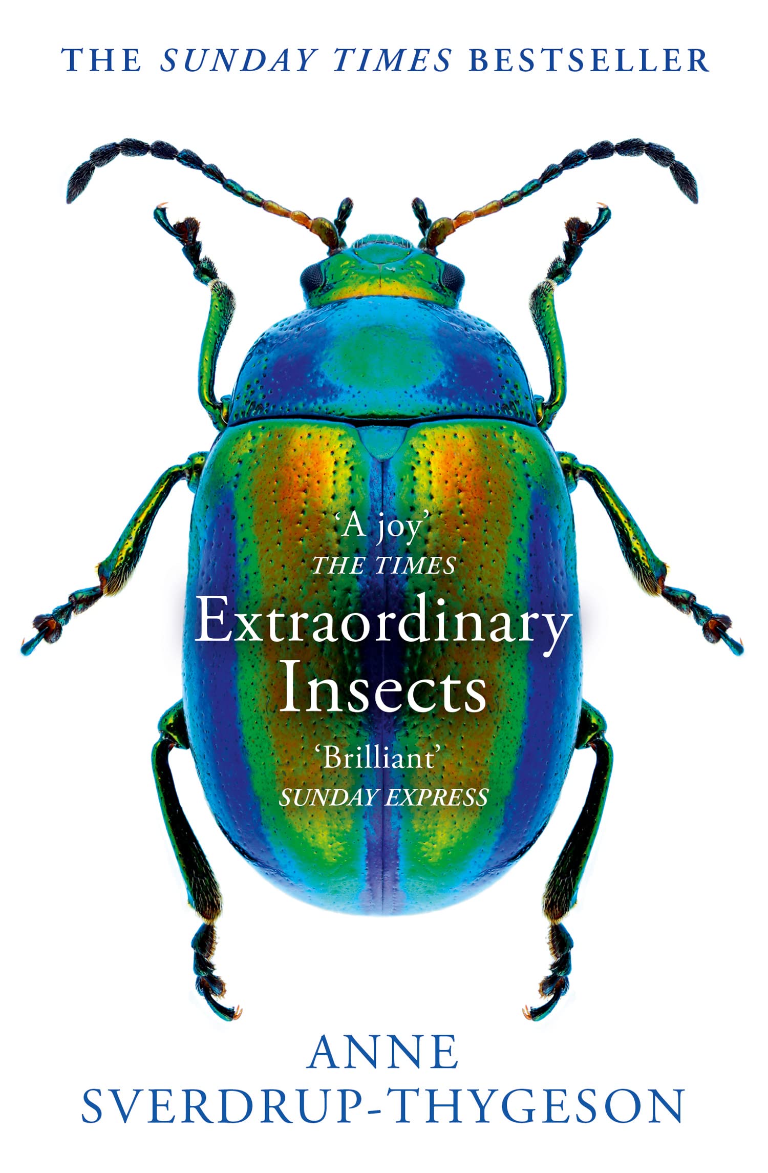 Extraordinary Insects Mathematics