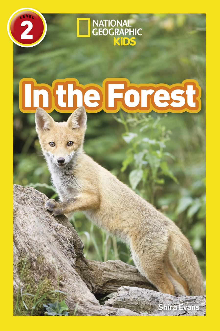 Product Image: In the Forest