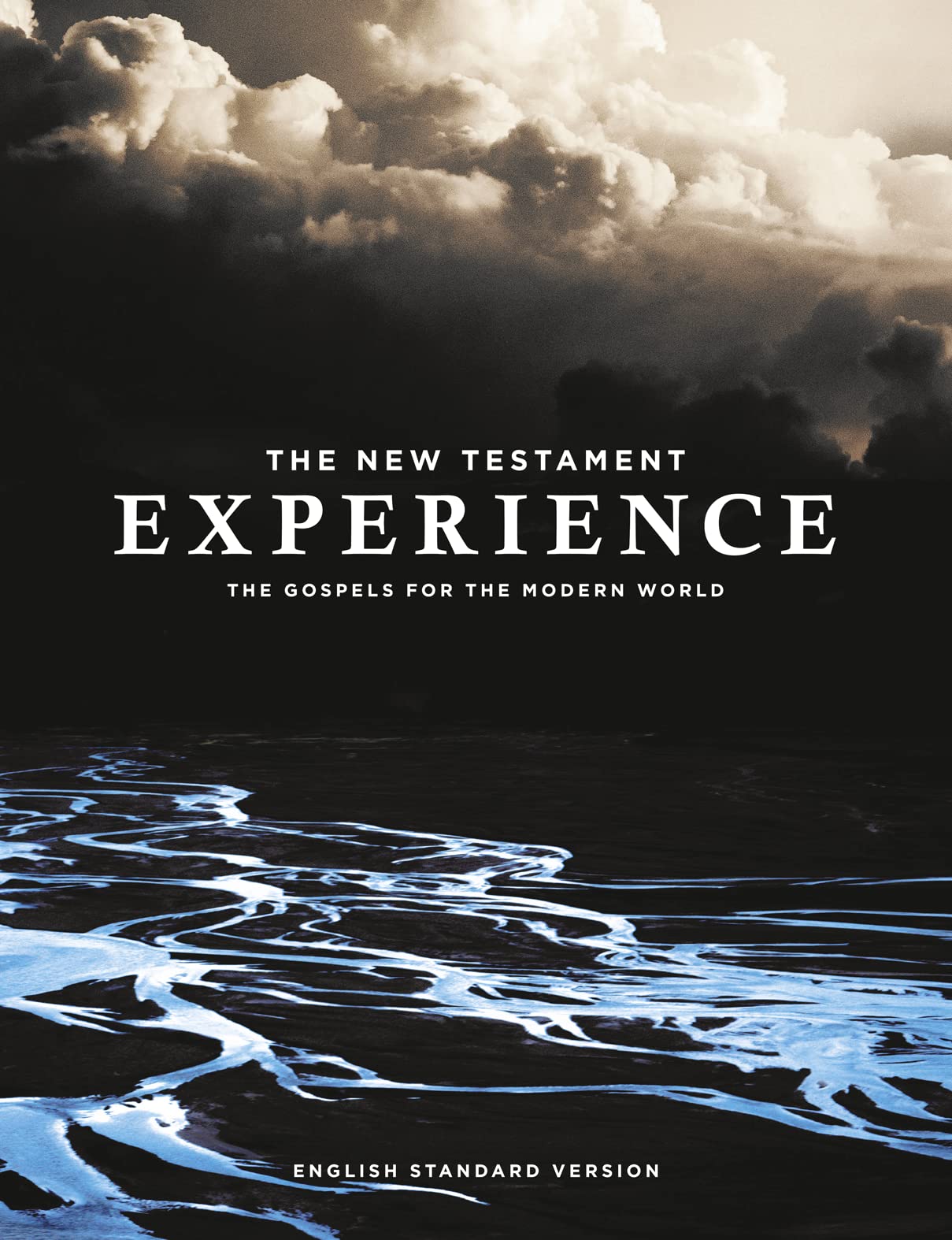 The New Testament Experience: The Gospels for the Modern World Social Sciences